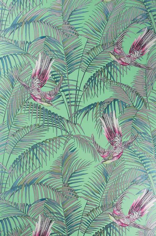 Matthew Williamson Sunbird Tapete – Farbvariante W6543-03
