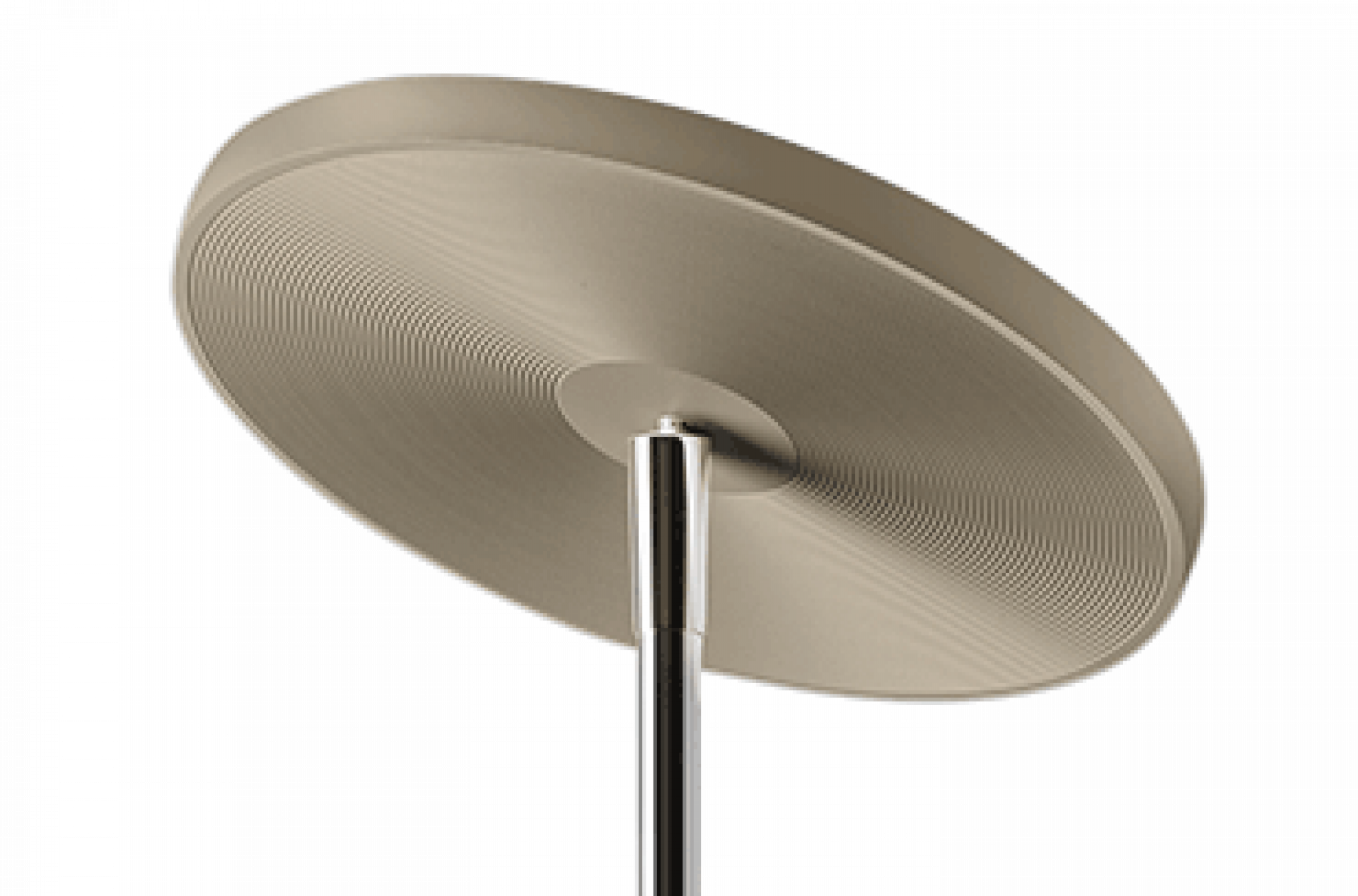 Oligo - Stehleuchte Decent Max-Stehleuchte-Oligo-Bodenplatte Champagner / Kopf Champagner-44-884-10-42-TOJU Interior