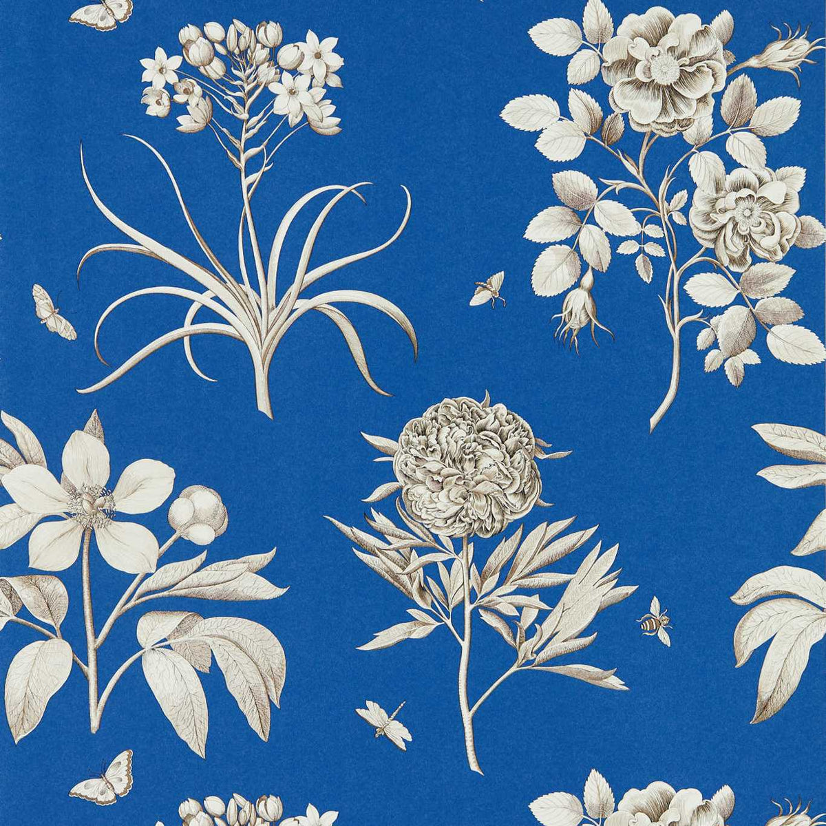 Sanderson - Tapete Etchings & Roses-Tapeten-Sanderson-FRENCH BLUE 217053-217053-Toju Interior