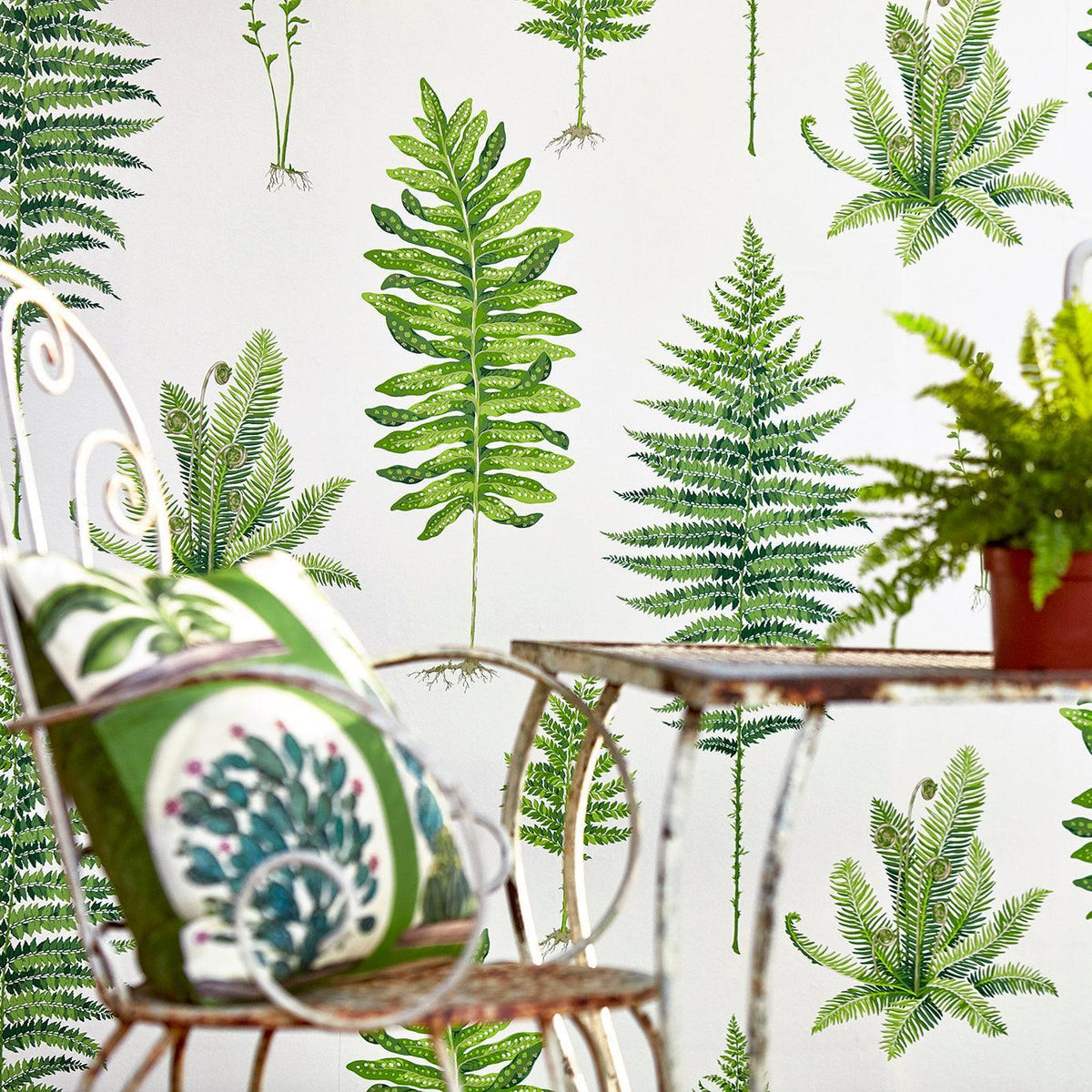 Sanderson - Tapete Fernery-Tapeten-Sanderson--Toju Interior
