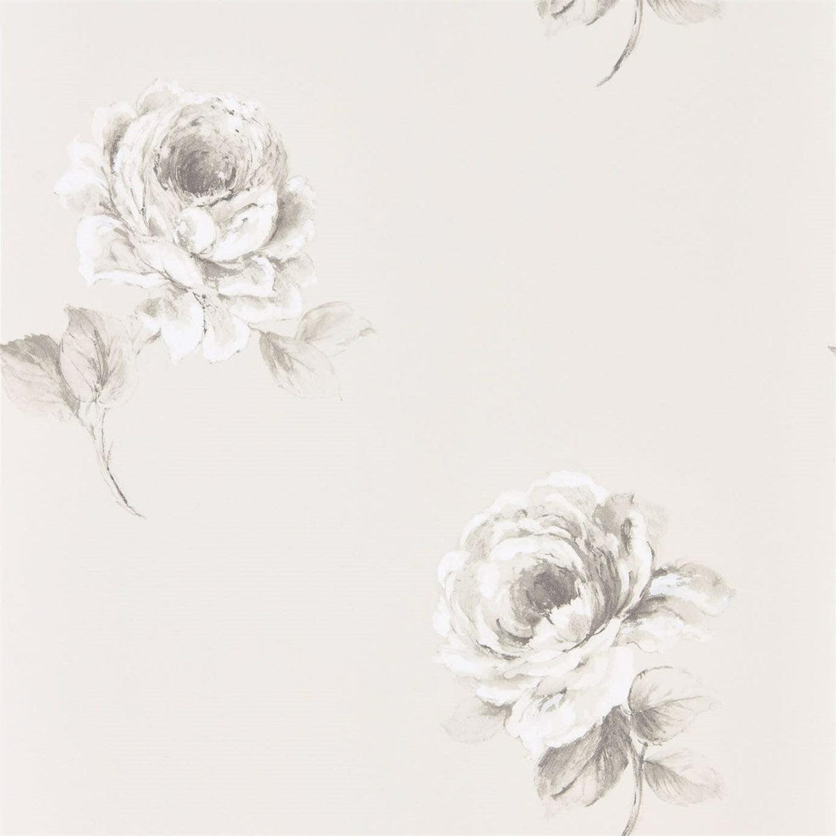 Sanderson - Tapete Rosa-Tapeten-Sanderson-CHALK 216276-216276-Toju Interior