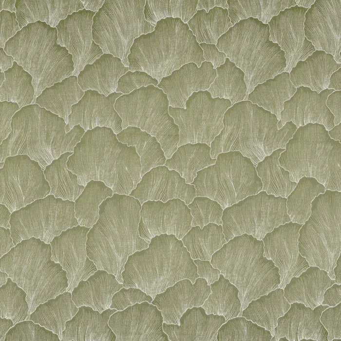Camengo Labelle – Lichen – 34470305
