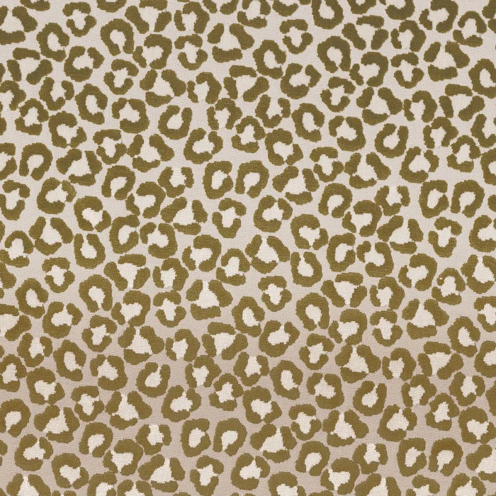 Camengo Félin – Olive – 36820220