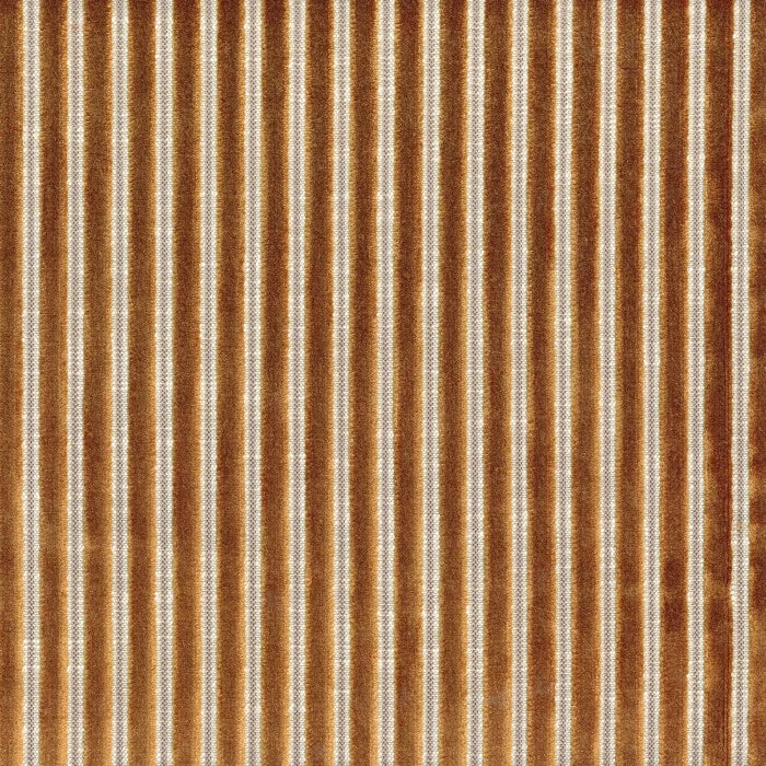 Casamance Zebu – Camel – 11630975