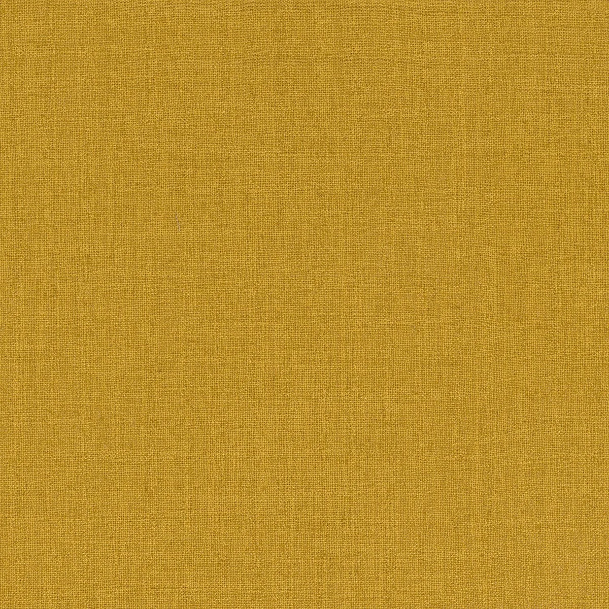 Casamance Favori – Jaune Or – 42532525