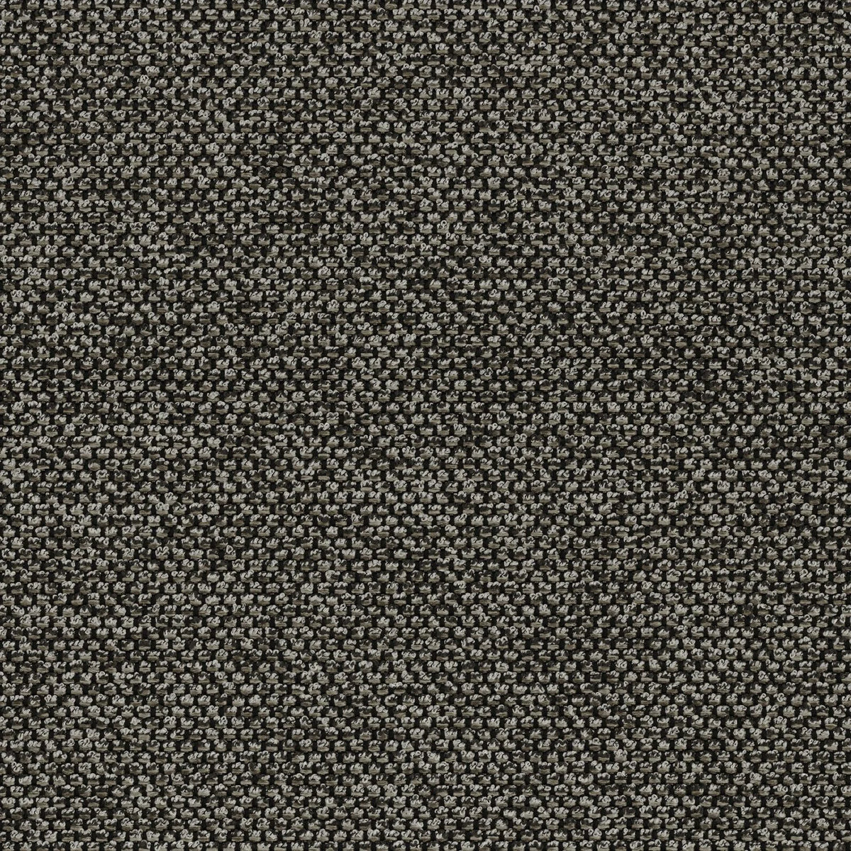 Casamance Pavlos – Carbone – 50160272