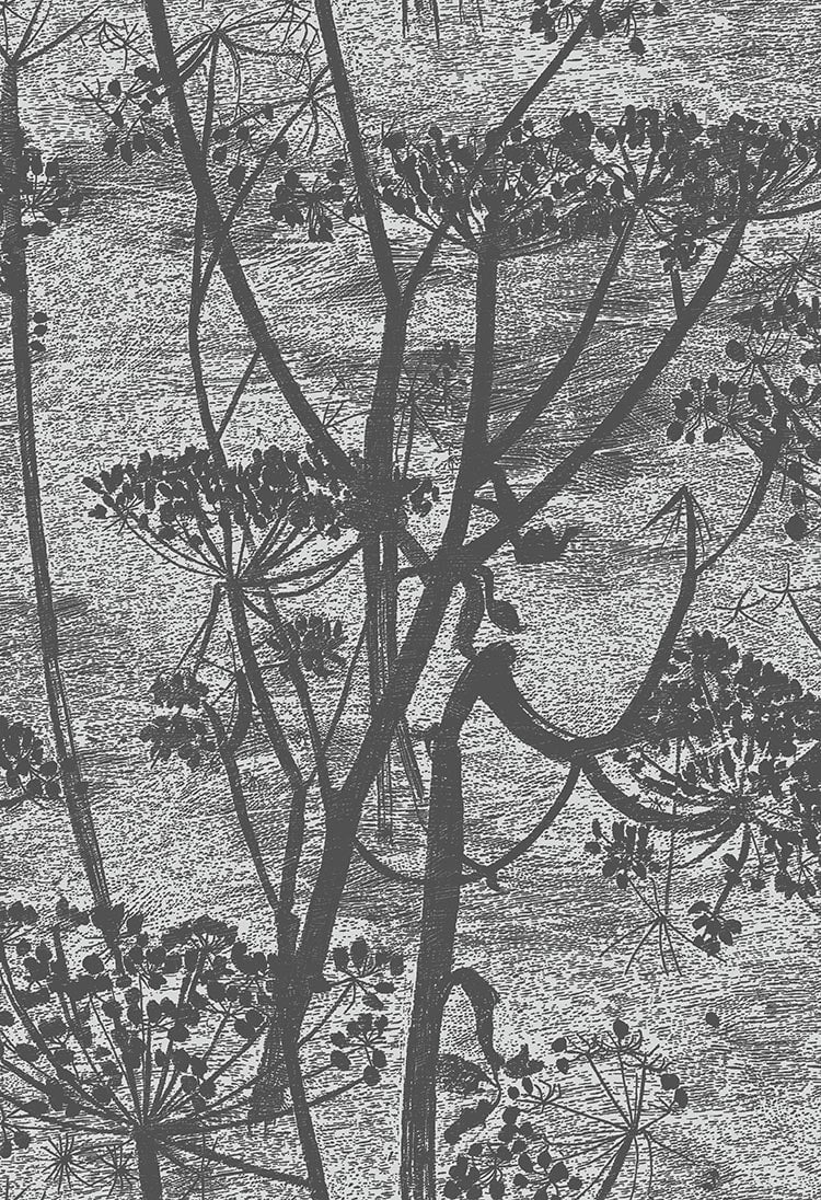 Cole & Son Cow Parsley Charcoal 112/8026 – Muster