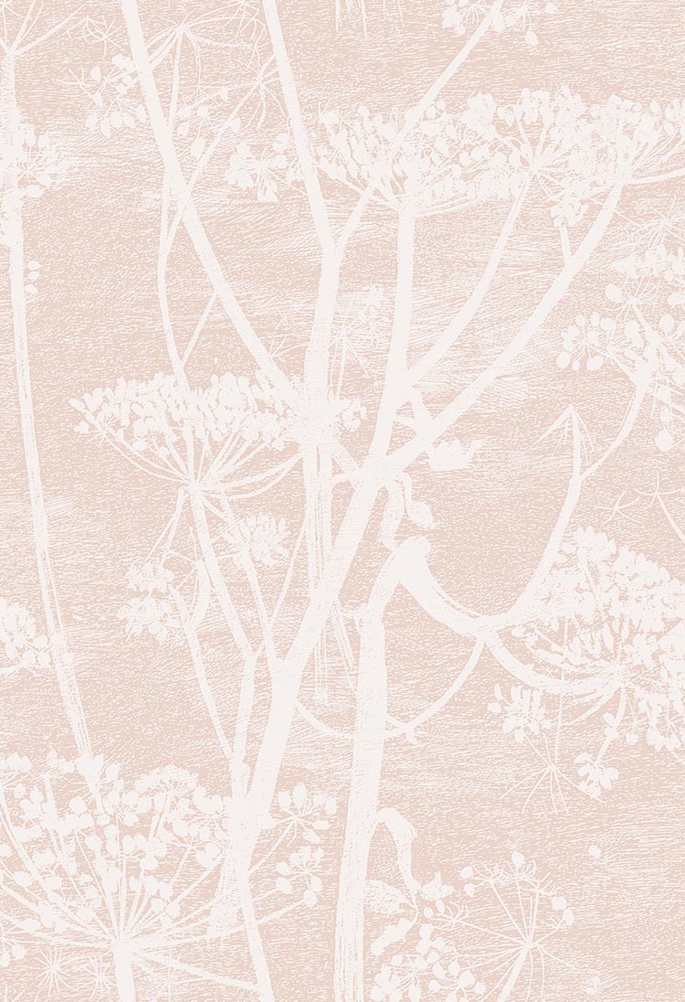 Cole & Son Cow Parsley Ballet Slipper 112/8028 – Muster