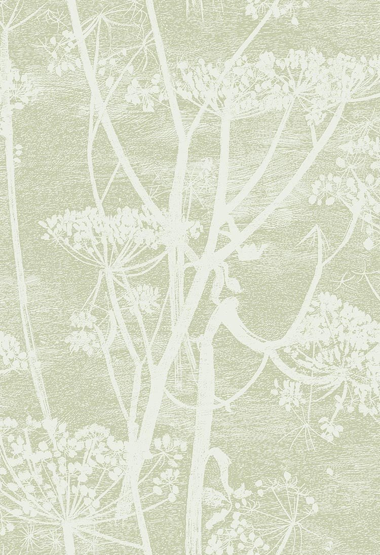 Cole & Son Cow Parsley Olive 112/8029 – Muster