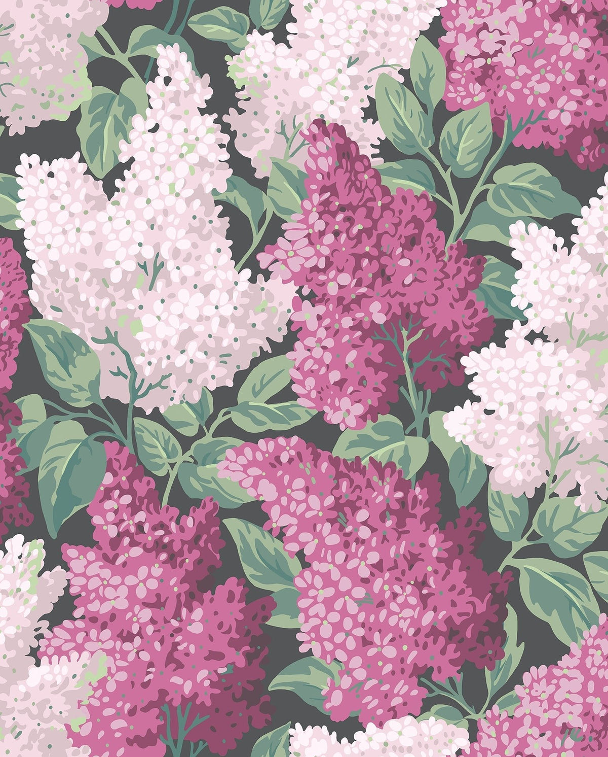 Cole & Son Lilac Magenta & Blush on Charcoal 115/1001 – Muster