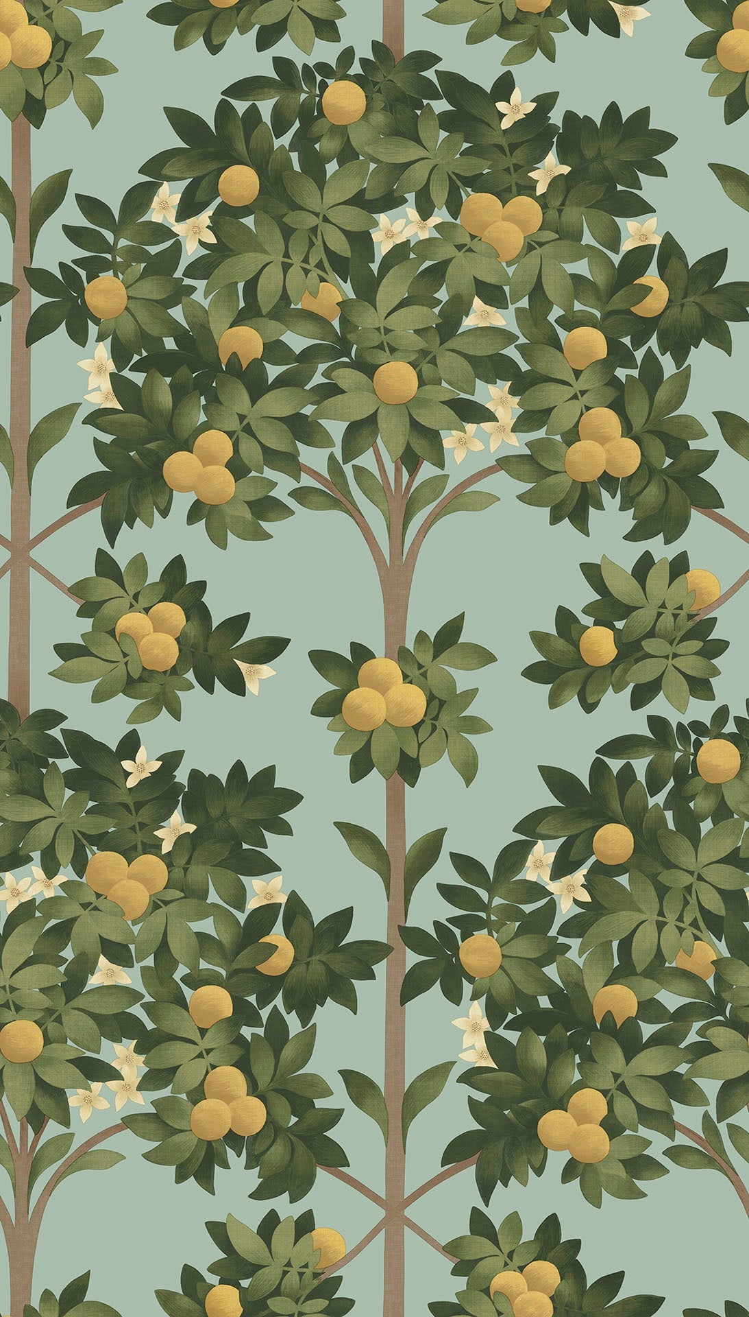 Cole & Son Orange Blossom Lemon & Dark Olive Green on Duck Egg 117/1002 – Muster