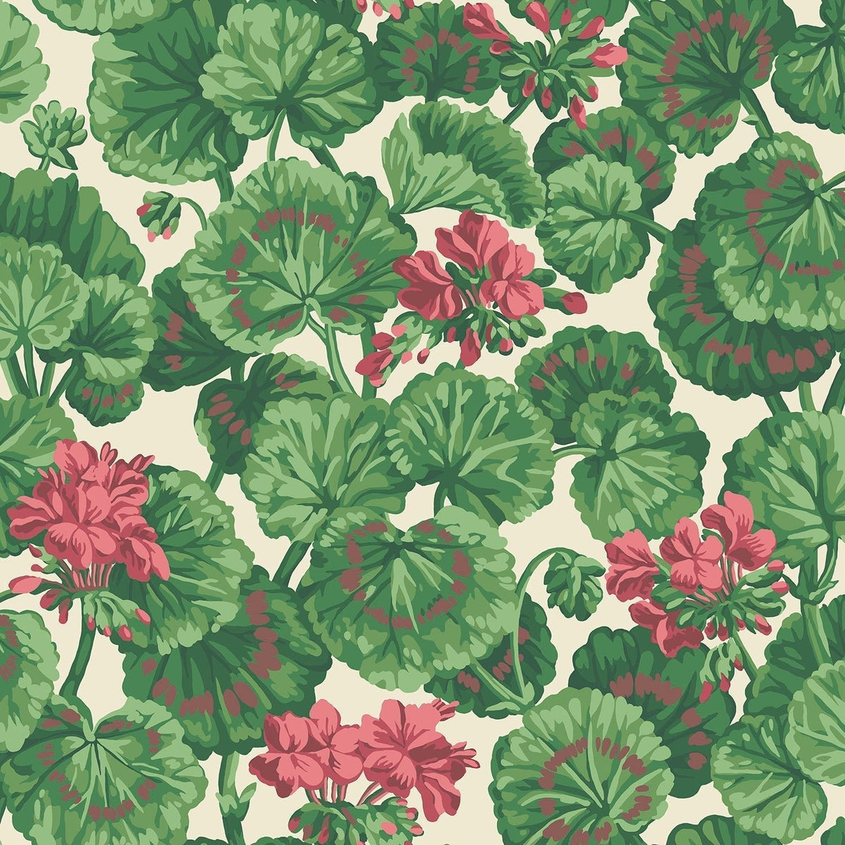 Cole & Son Geranium Rose & Forest Greens on Parchment 117/11034 – Muster