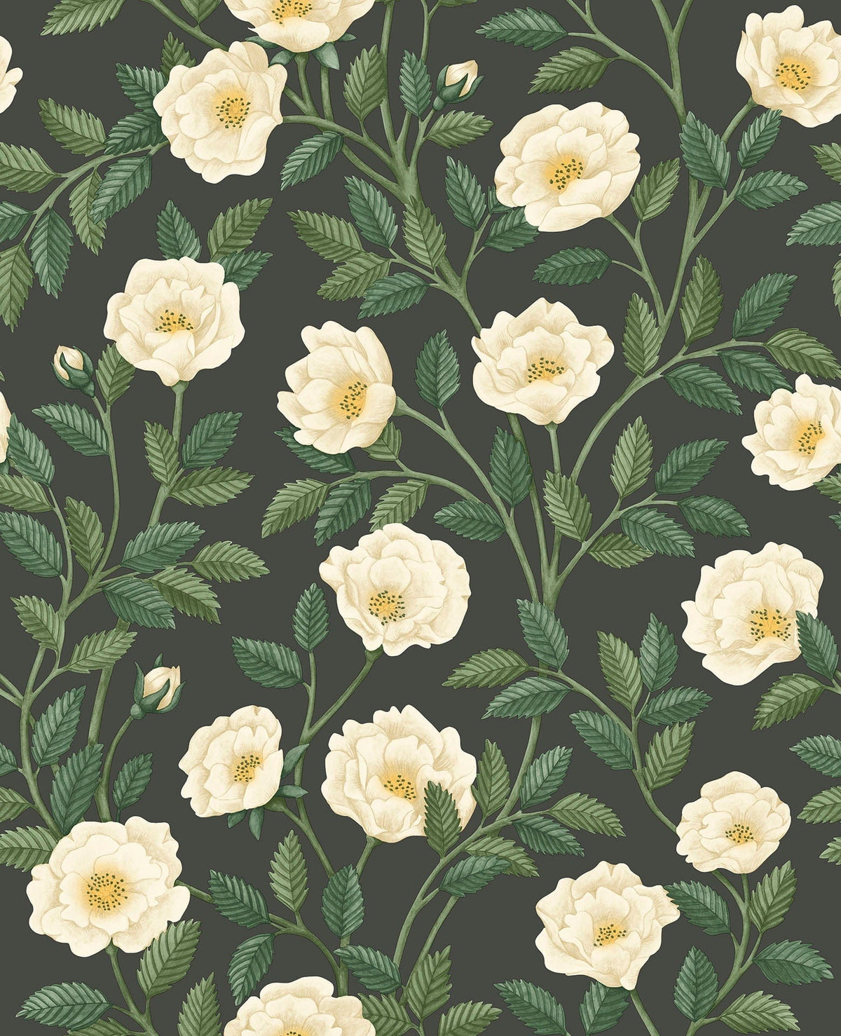 Cole & Son Hampton Roses Cream & Forest Green on Charcoal 118/7016 – Muster