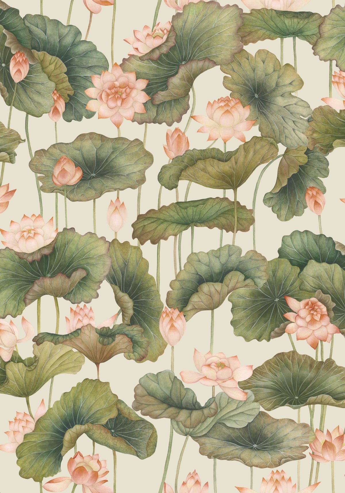 Cole & Son Lily Lotus Orange & Olive 126/9032 – Muster