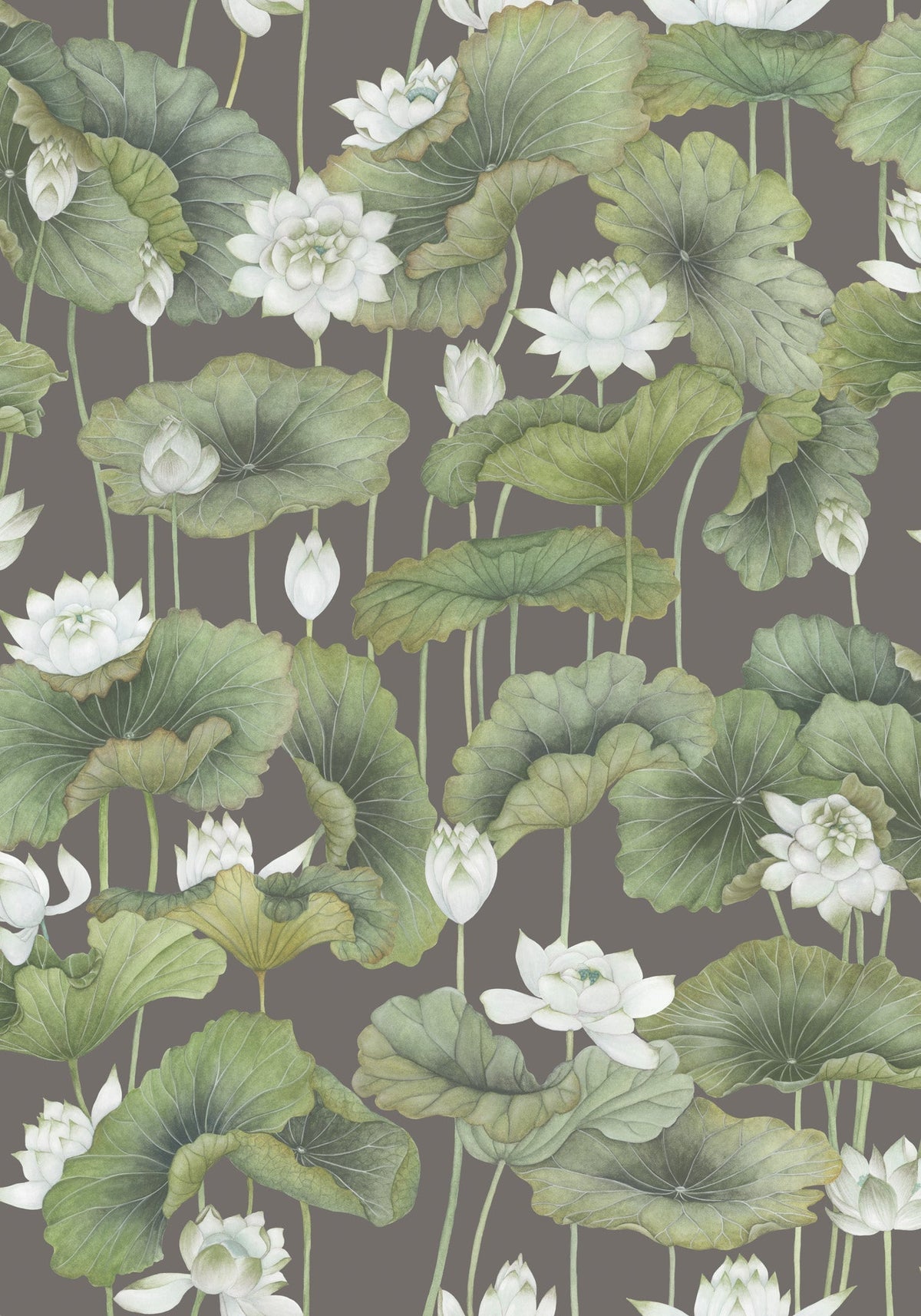 Cole & Son Lily Lotus White on Charcoal 126/9033 – Muster