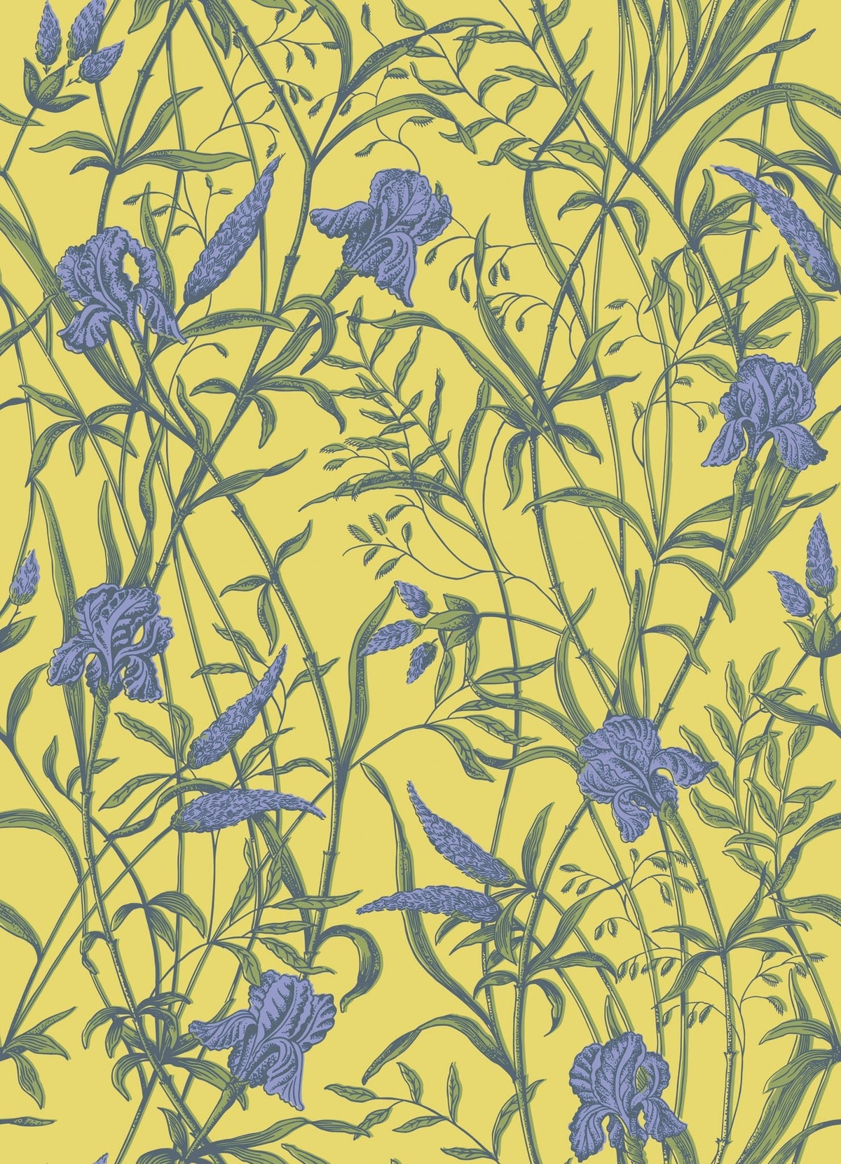 Cole & Son Iris Yellow 128/5027 – Muster