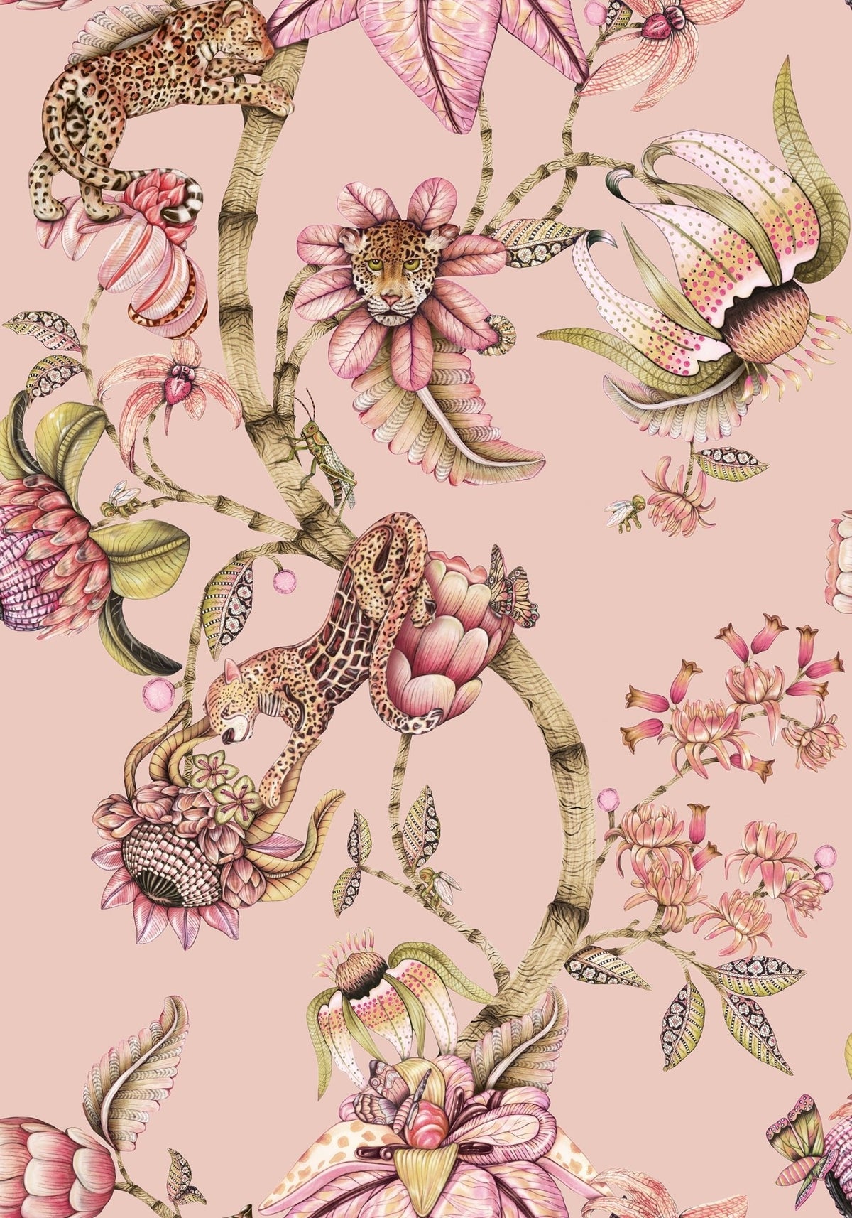 Cole & Son Protea Panthera Rose Quartz 129/6024 – Muster