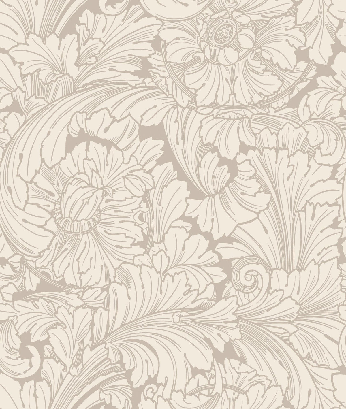 Cole & Son Acanthus, Cream & Pebble (127/6029)