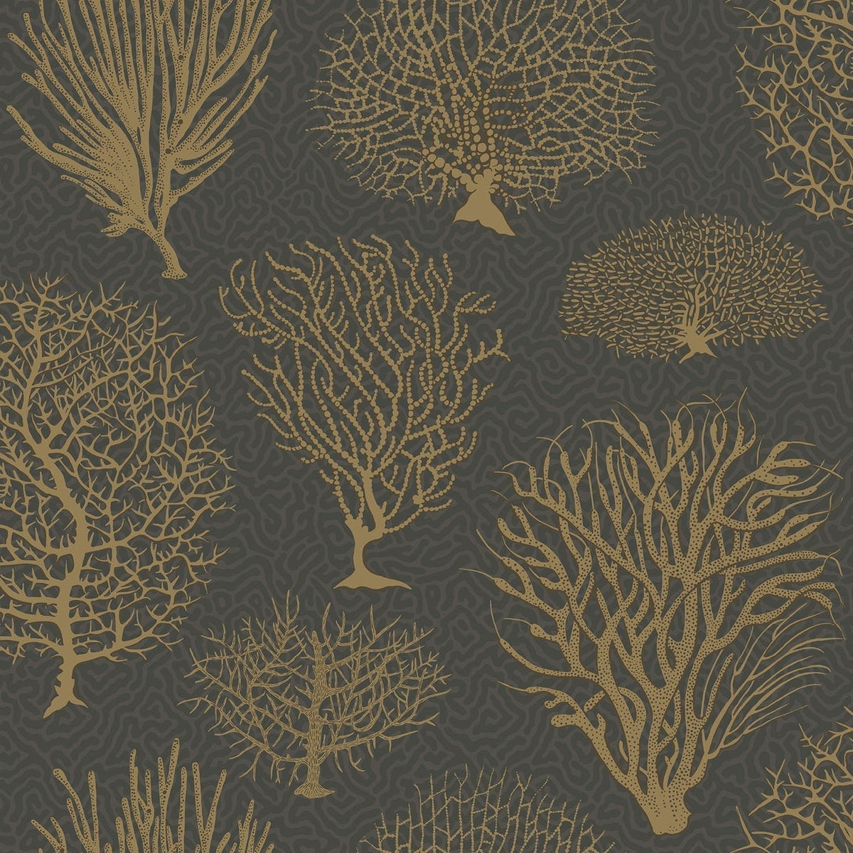 Cole & Son Seafern, Metallic Gold on Charcoal, 107/2006