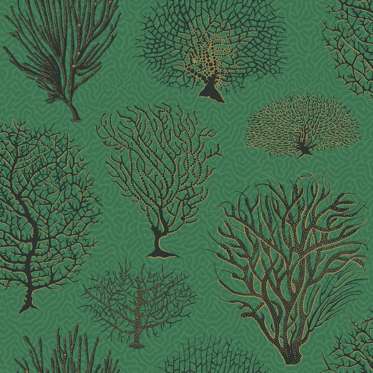 Cole & Son Seafern, Charcoal & Metallic Gold on Emerald, 107/2007