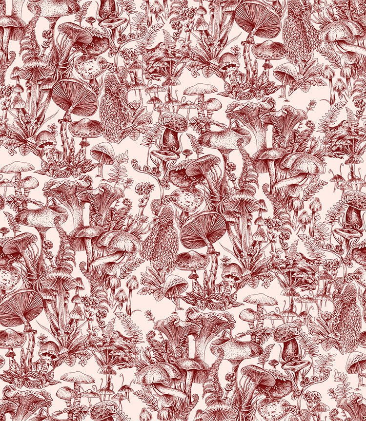 Cole & Son x Stella McCartney Fungi Forest Burgundy – Tapetenmuster