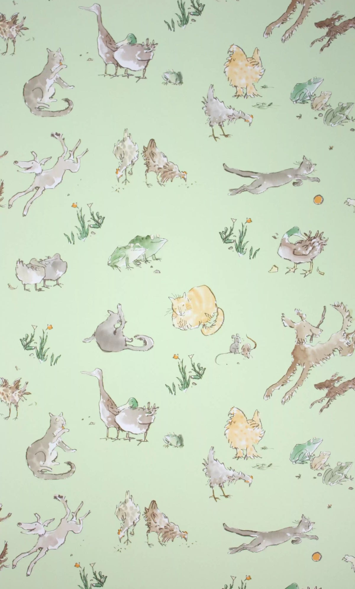 Osborne & Little Tapete Quentin's Menagerie – Farbvariante W6063-01