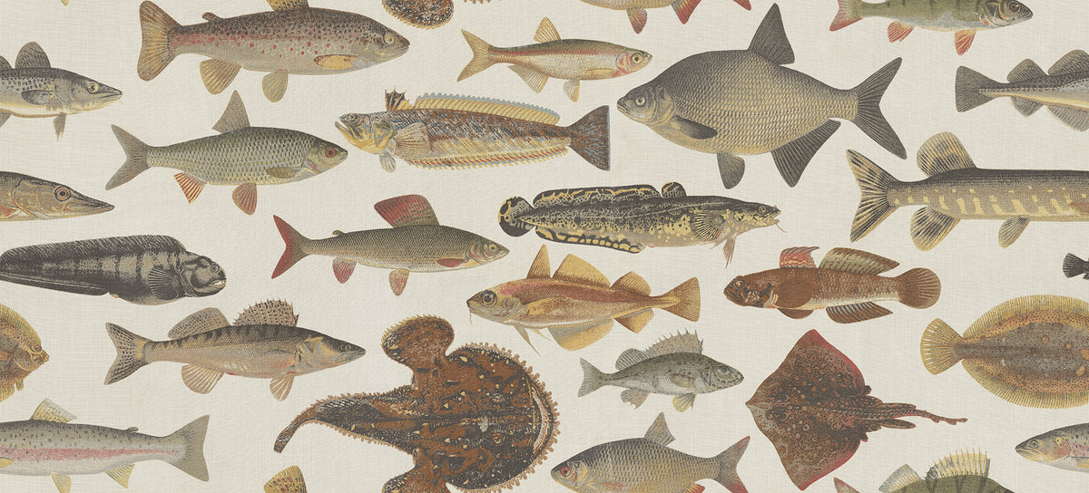 Sandberg Fototapete Scandinavian Fish S10728 – Tapetenmuster