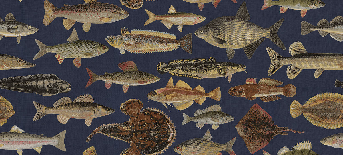 Sandberg Fototapete Scandinavian Fish S10729 – Tapetenmuster