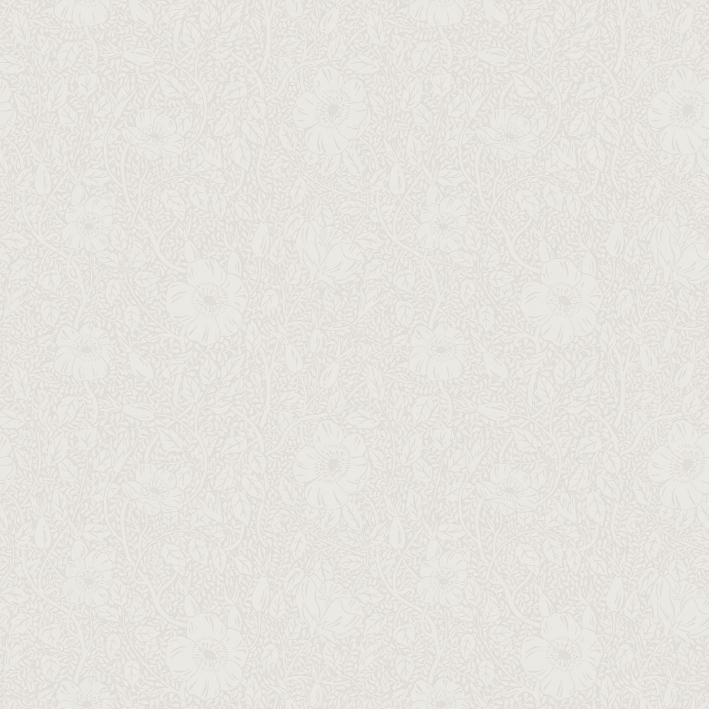 Sandberg - wallpaper Anton