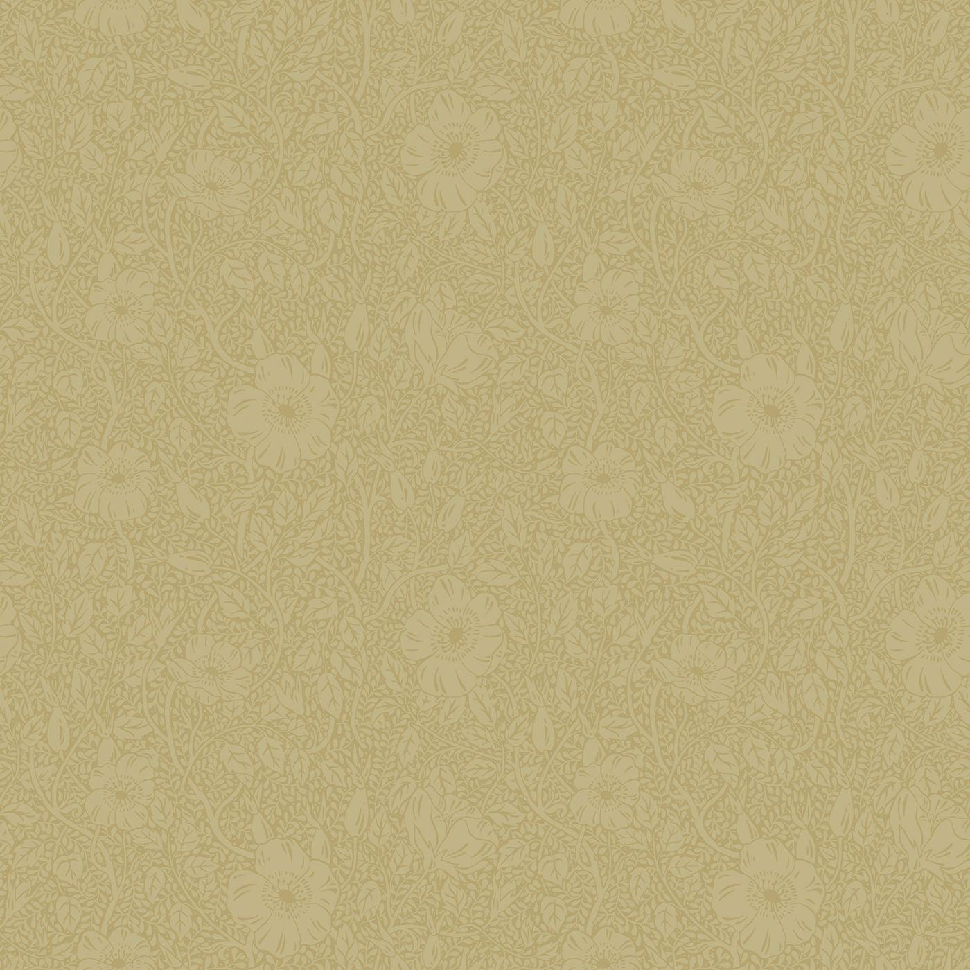 Sandberg - wallpaper Anton
