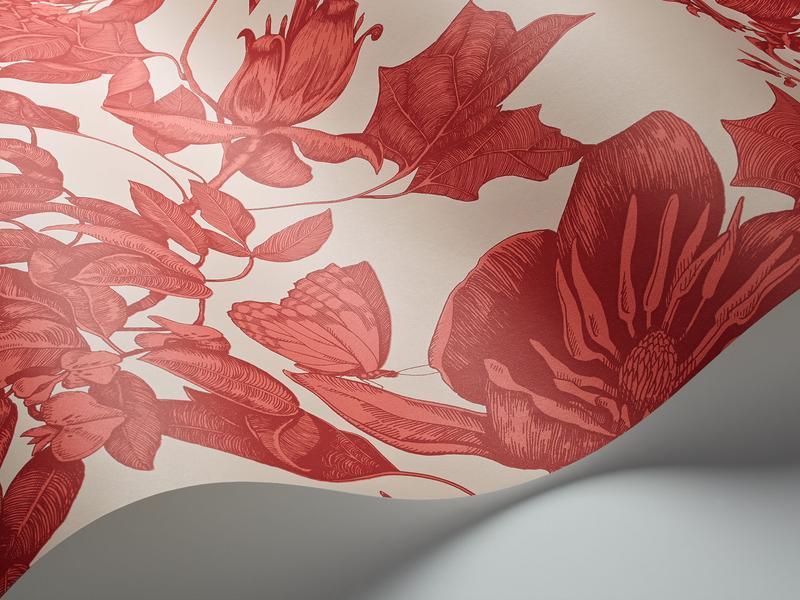 Cole and Son - Tapete Tivoli Wallpaper-Tapeten-Cole & Son-Red on Cream S99/7033-TOJU Interior