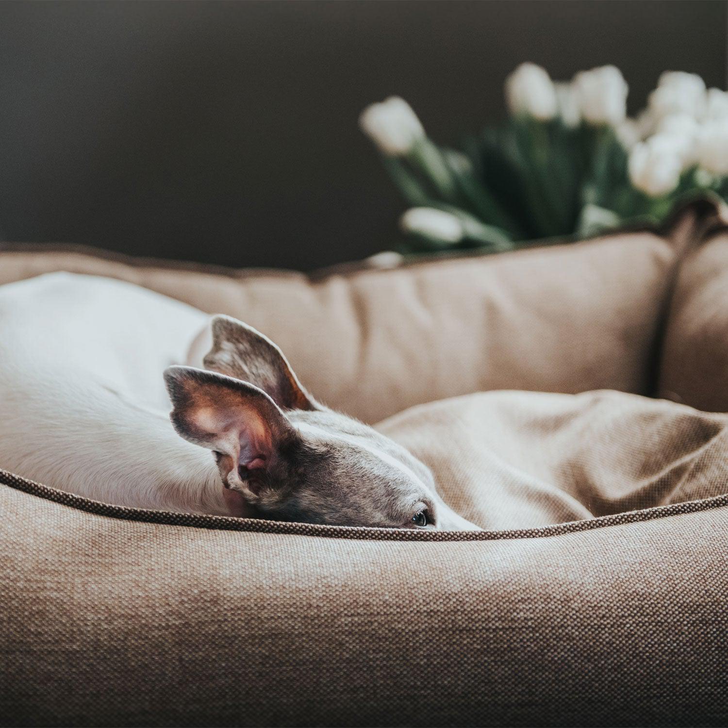 Hunter - Hundesofa Livingston-Hundebetten-Hunter-TOJU Interior