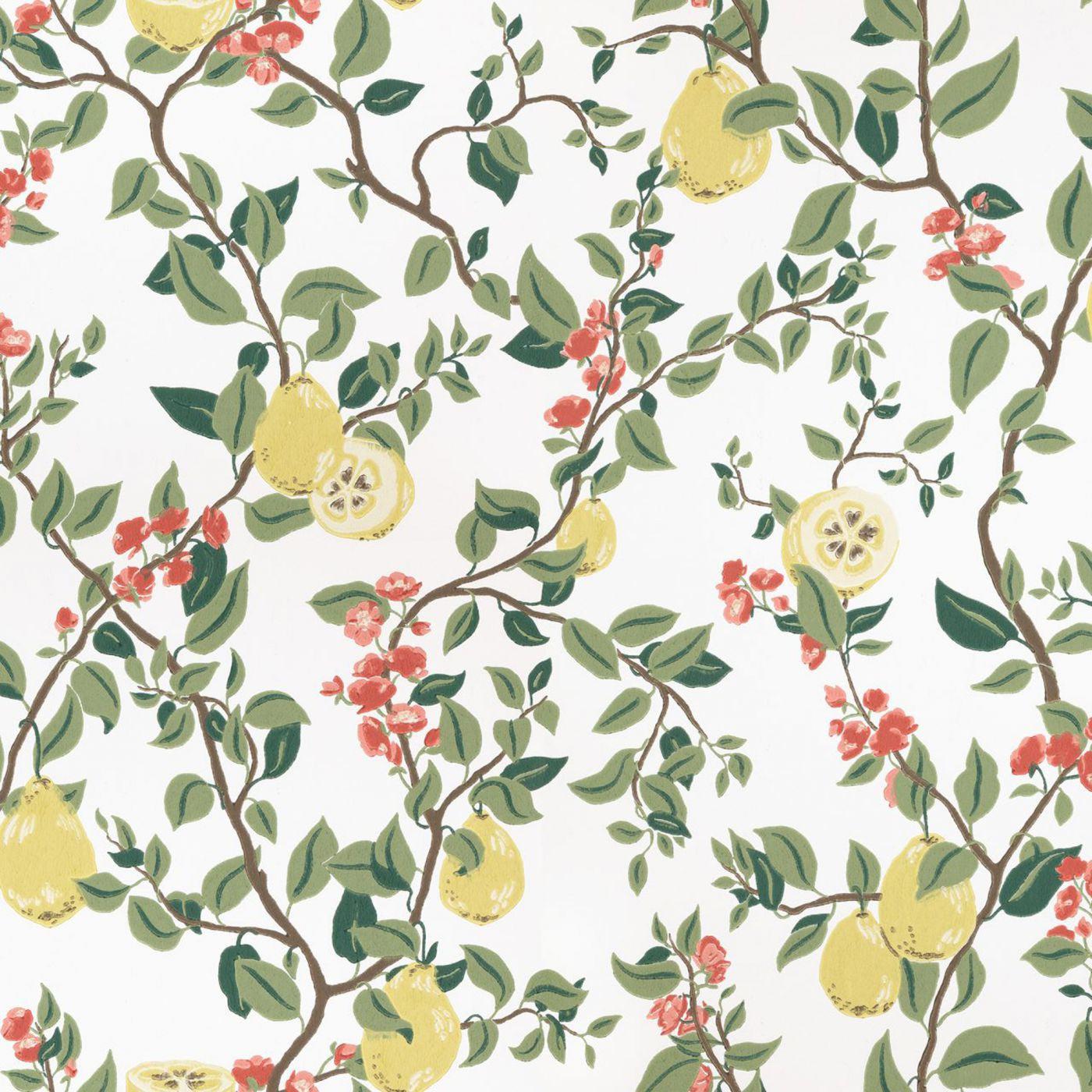 Sandberg - Tapete Kvitten-Tapeten-Sandberg-White-TOJU Interior