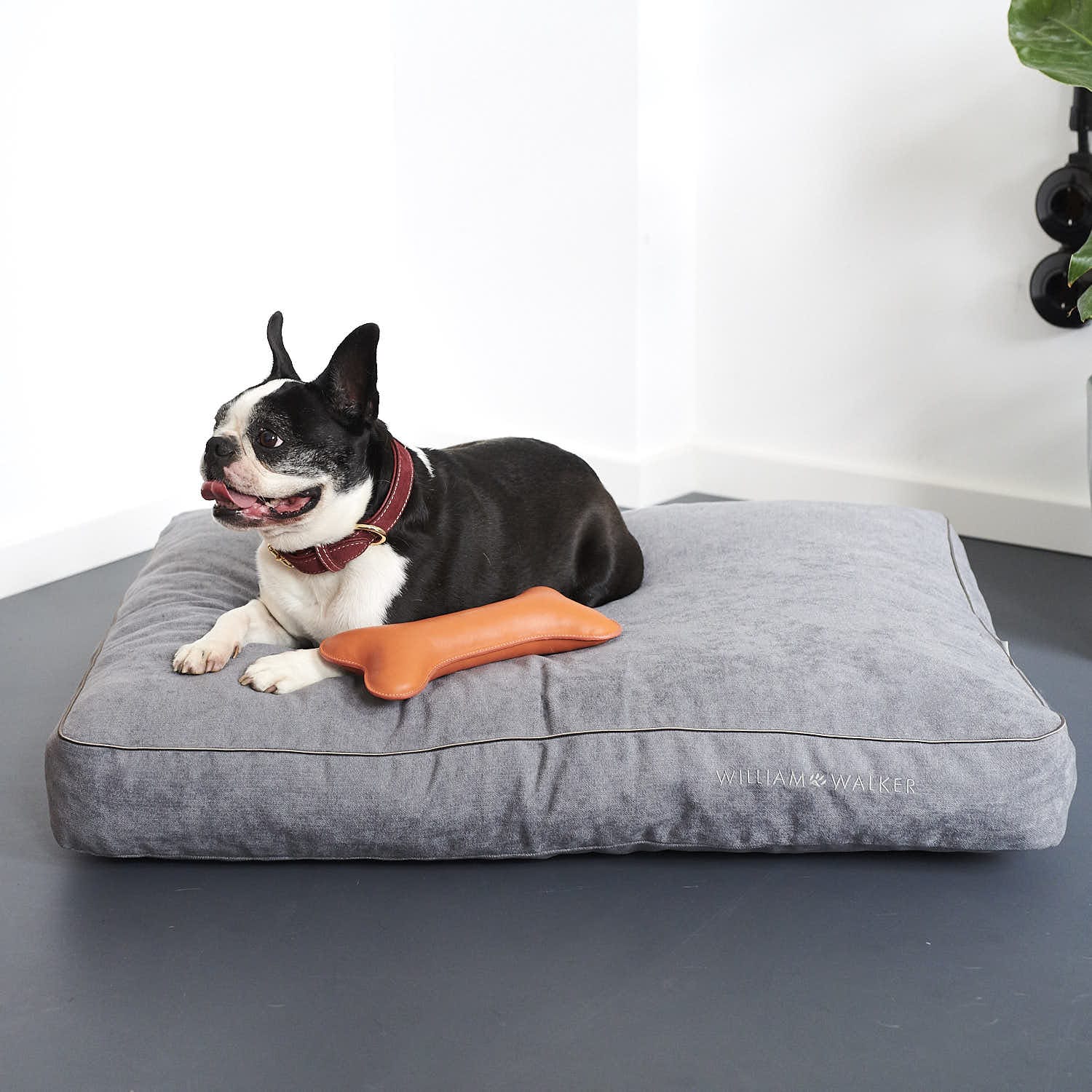 William Walker - Hundekissen Chill-Hundekissen-William Walker-TOJU Interior