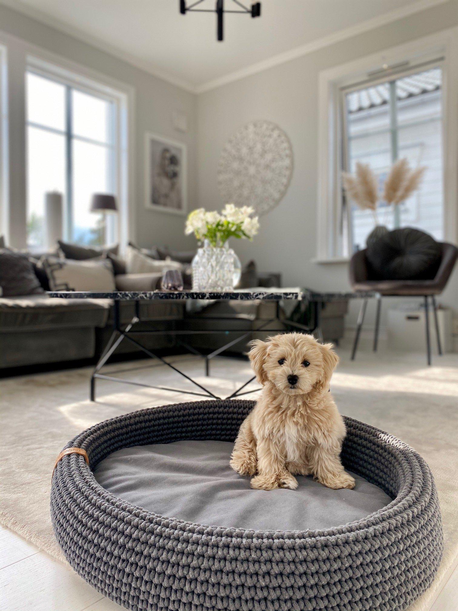 Labbvenn - Hundebett Lukko-Hundebett-Labbvenn-TOJU Interior
