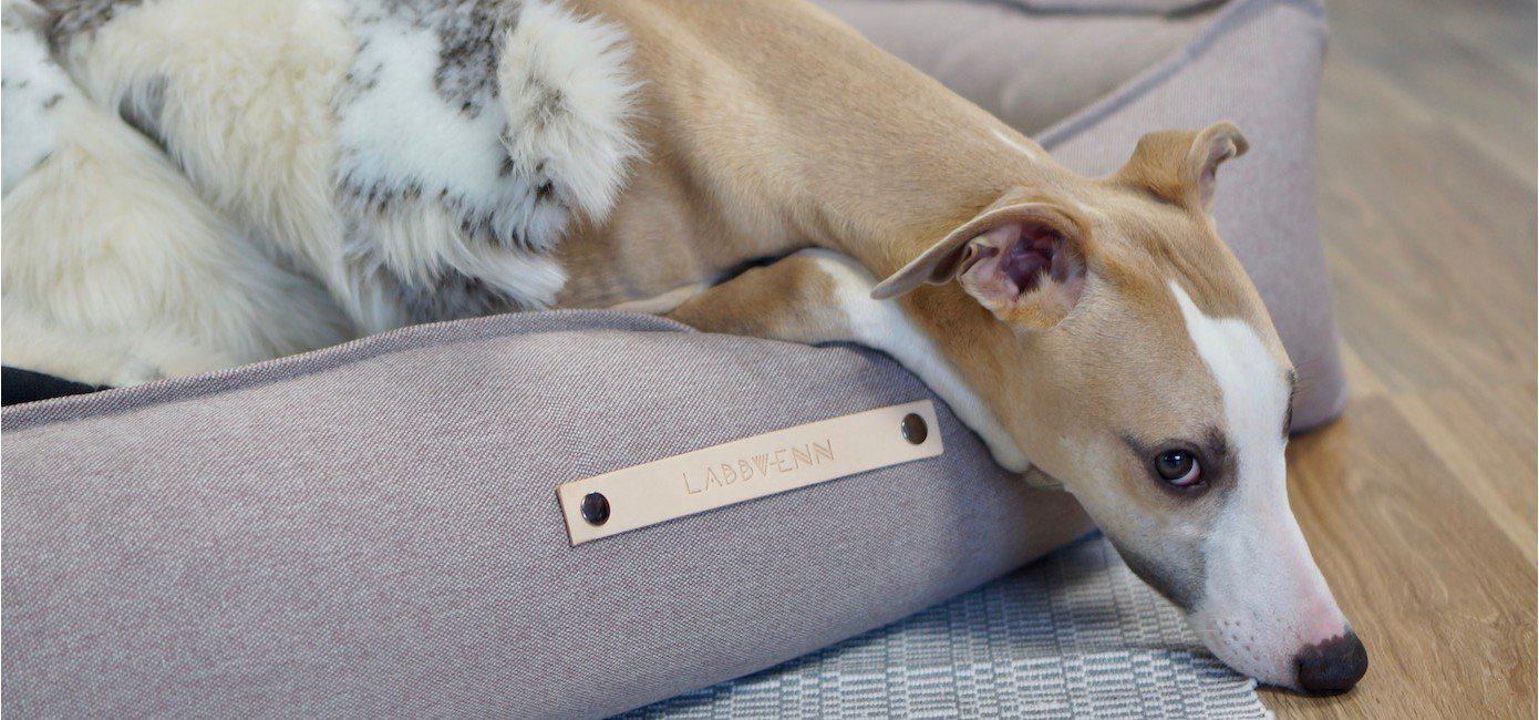 Labbvenn - Hundebett Töve-Hundebett-Labbvenn-TOJU Interior