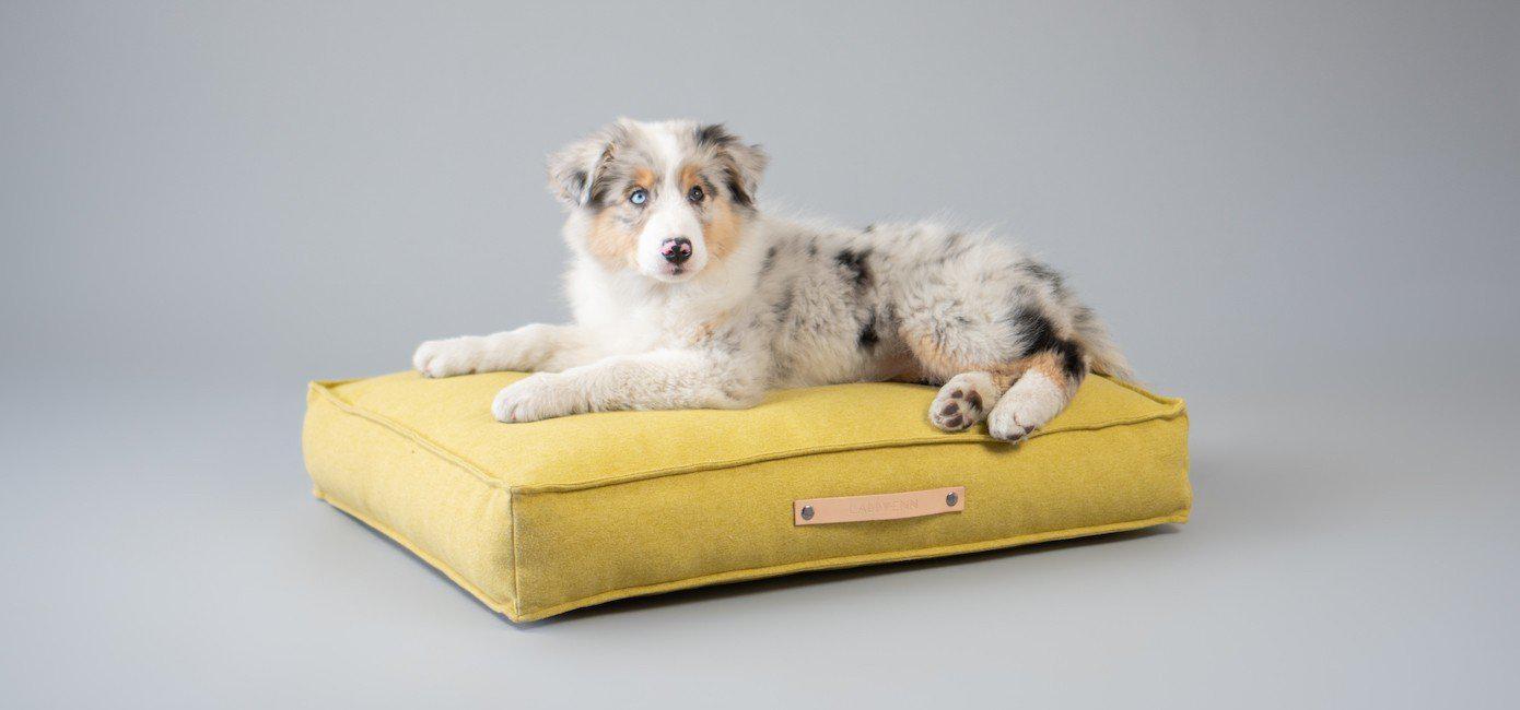 Labbvenn - Hundekissen Movik-Hundekissen-Labbvenn-TOJU Interior