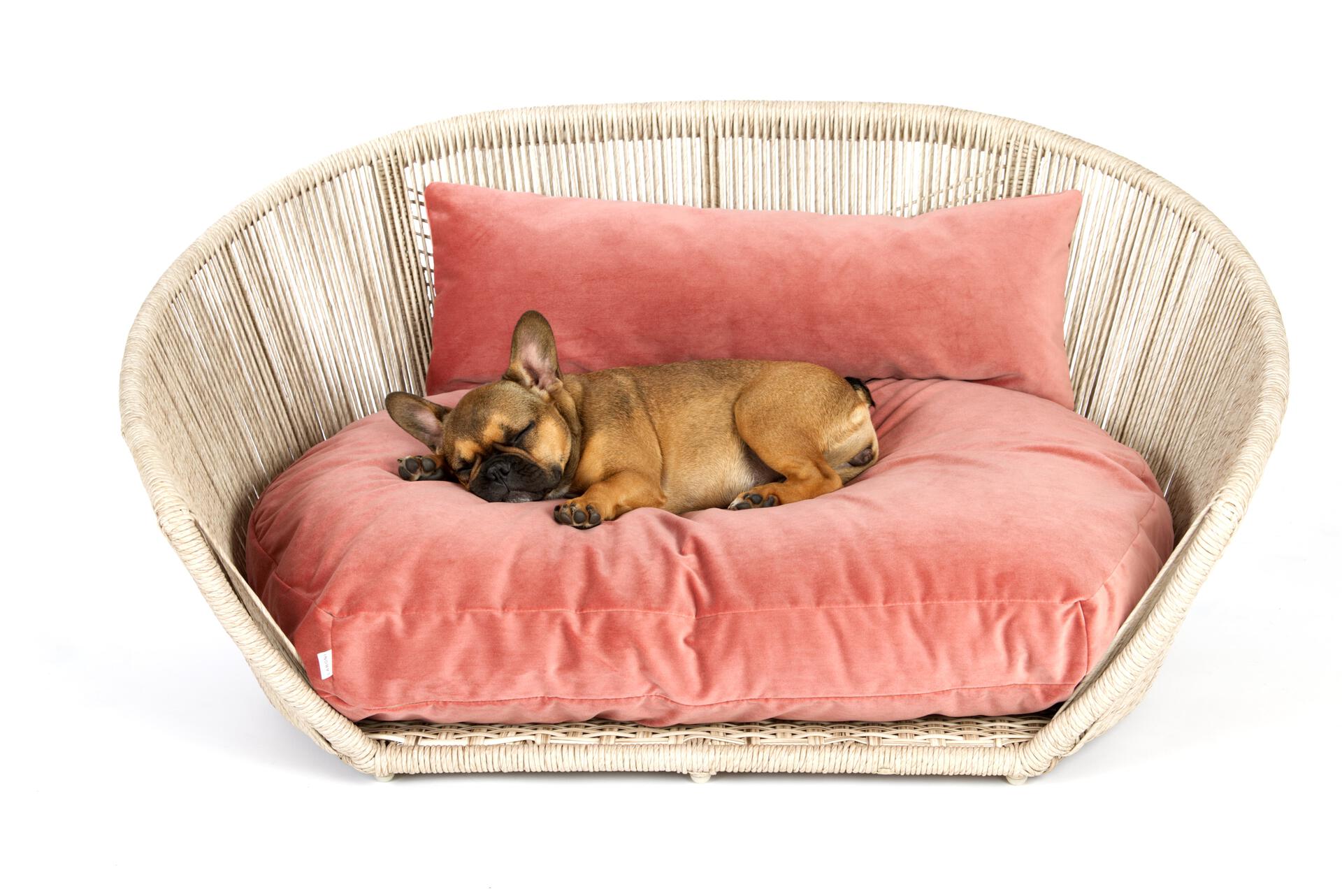 Laboni - Vogue - Design-Hundebett Oxford-Hundebett-Laboni-Rose-TOJU Interior