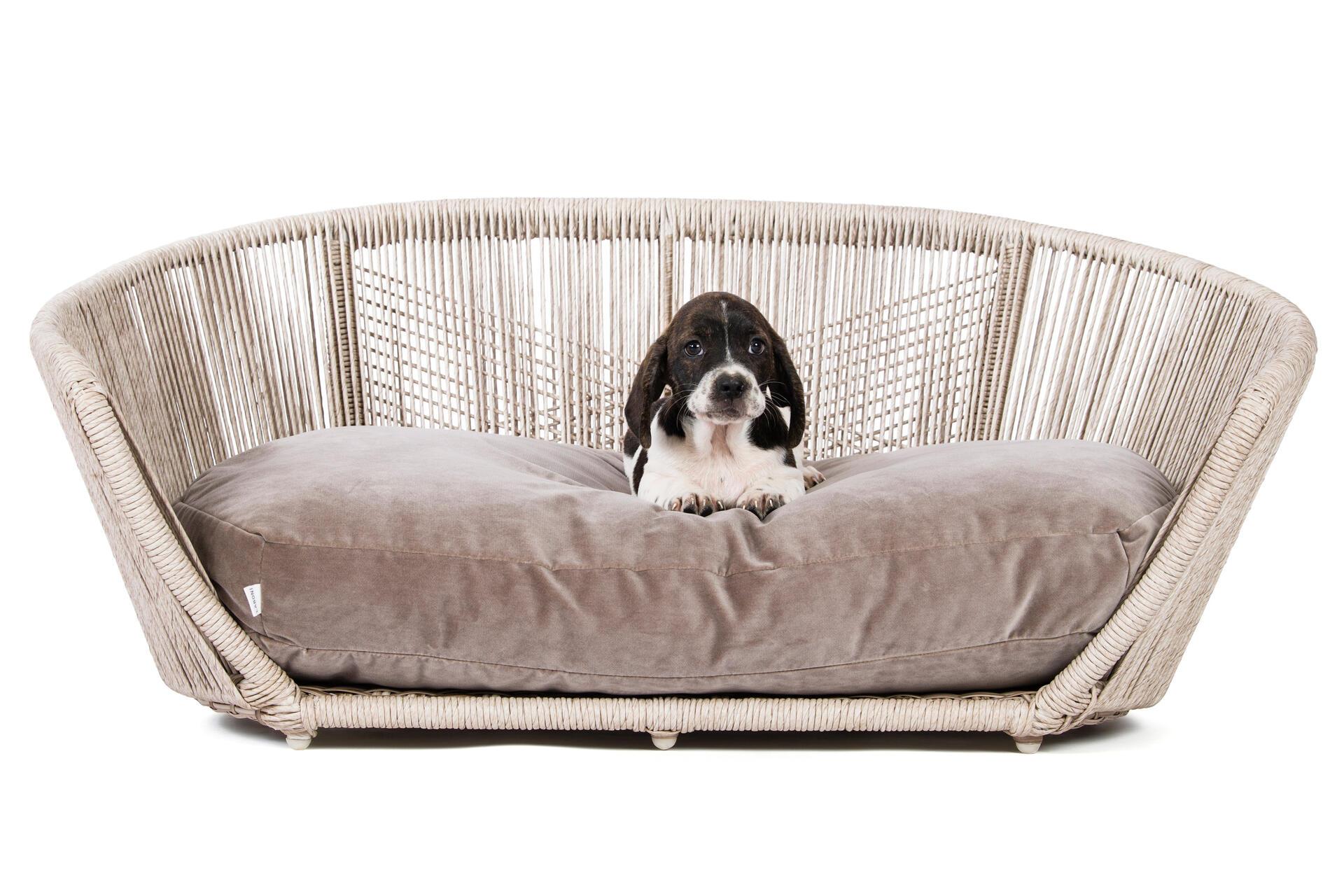 Laboni - Vogue - Design-Hundebett Oxford-Hundebett-Laboni-Taupe-TOJU Interior