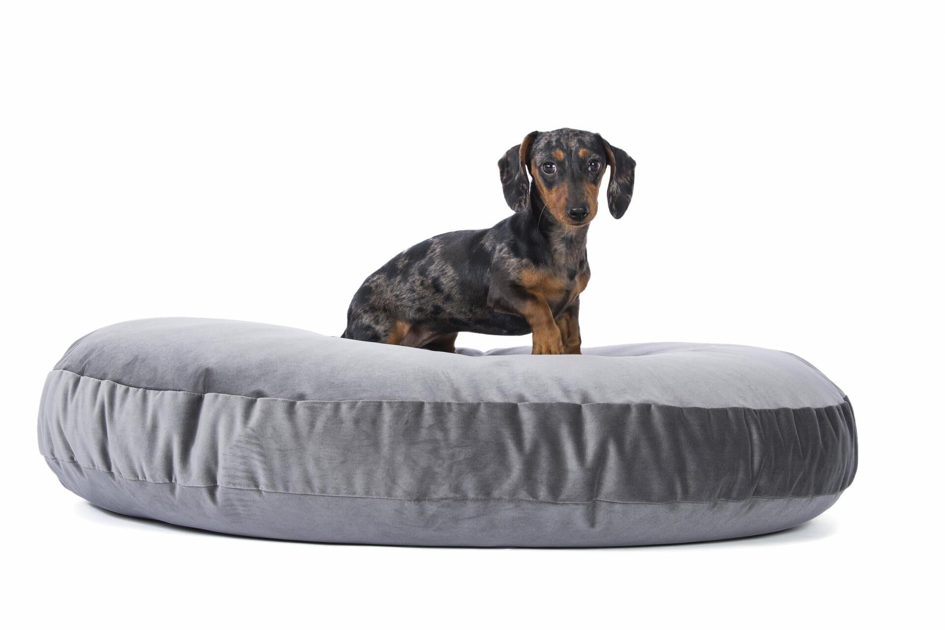 Laboni - Vogue - Design-Hundebett Oxford-Hundebett-Laboni-TOJU Interior