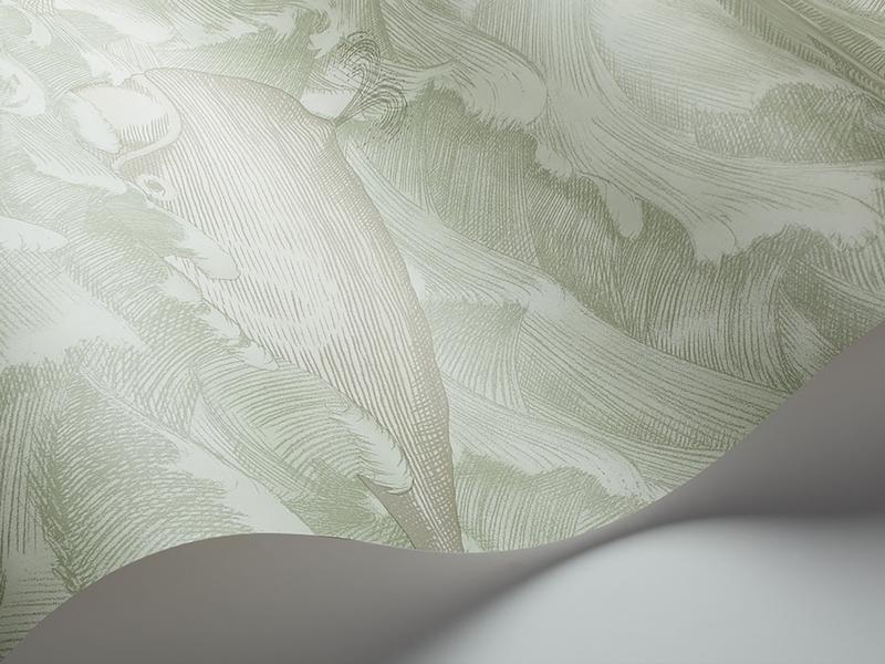 Grüne Designertapete Melville von Cole & Son