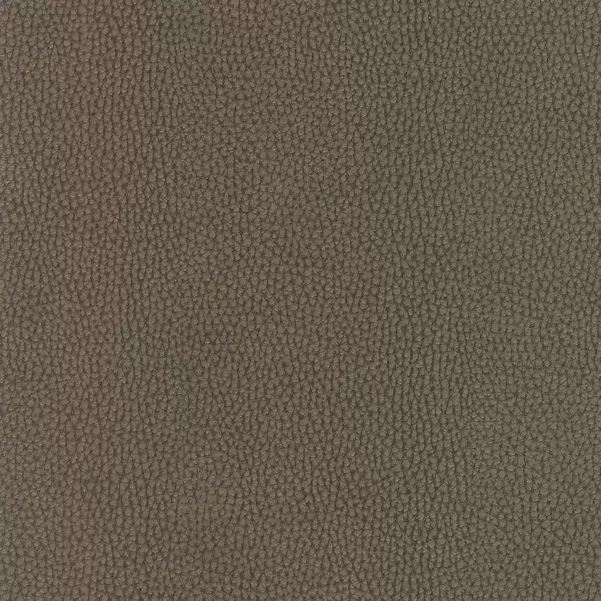 Osborne & Little SELLIER – Stoff – F6080-10