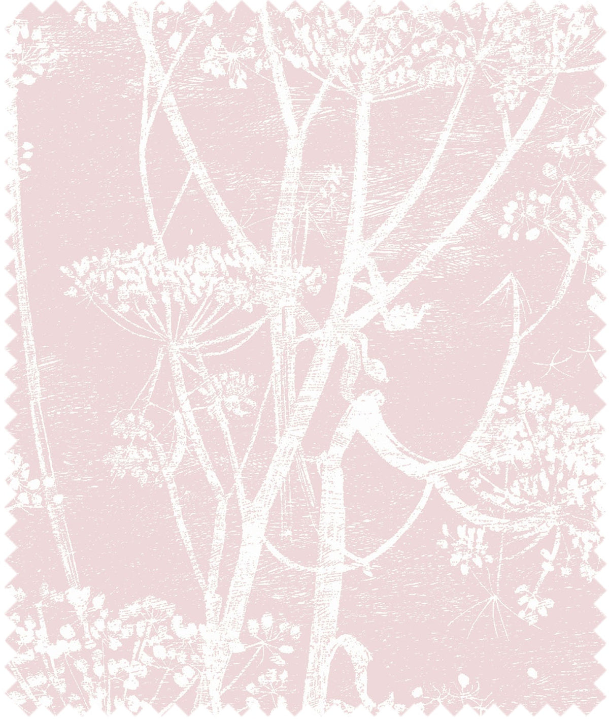 Cole & Son – Stoff Cow Parsley 100% Linen – F111/5018 – Ballet Slipper