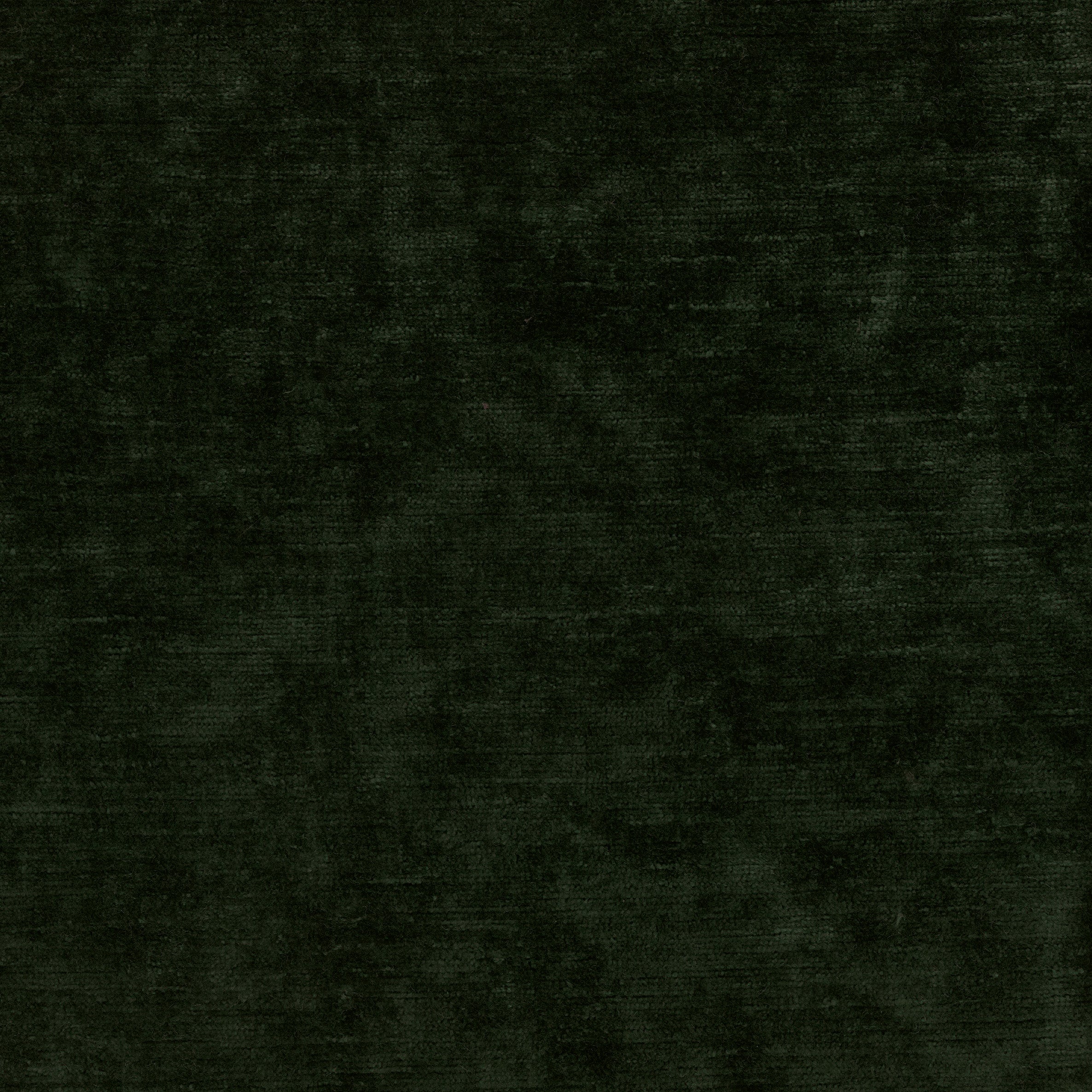 OSBORNE & LITTLE Stoff BELVEDERE VELVET – Januar Kollektion 2026-Stoffe-OSBORNE & LITTLE-F8130-06-TOJU Interior