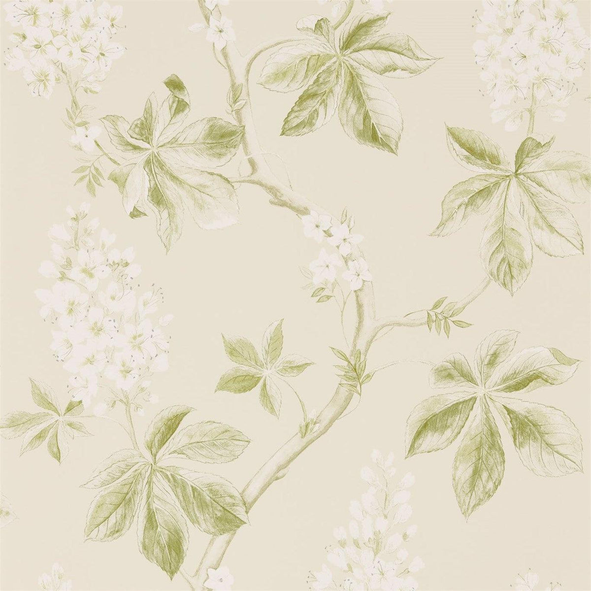 Sanderson - Tapete Chestnut Tree-Tapeten-Sanderson-LEMON/LETTUCE 215707-215707-Toju Interior