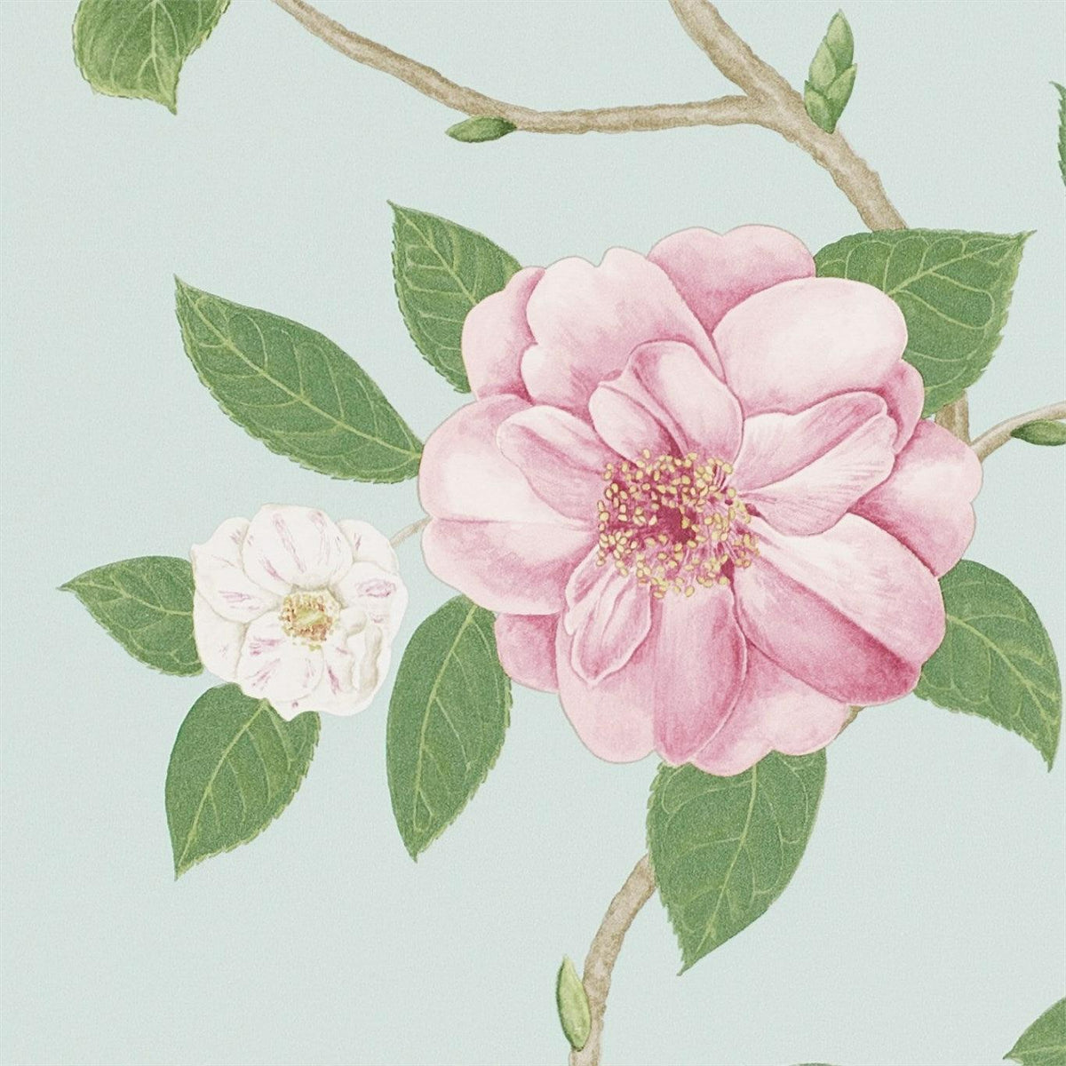 Sanderson - Tapete Christabel-Tapeten-Sanderson-PINK/SKY 213378-213378-Toju Interior