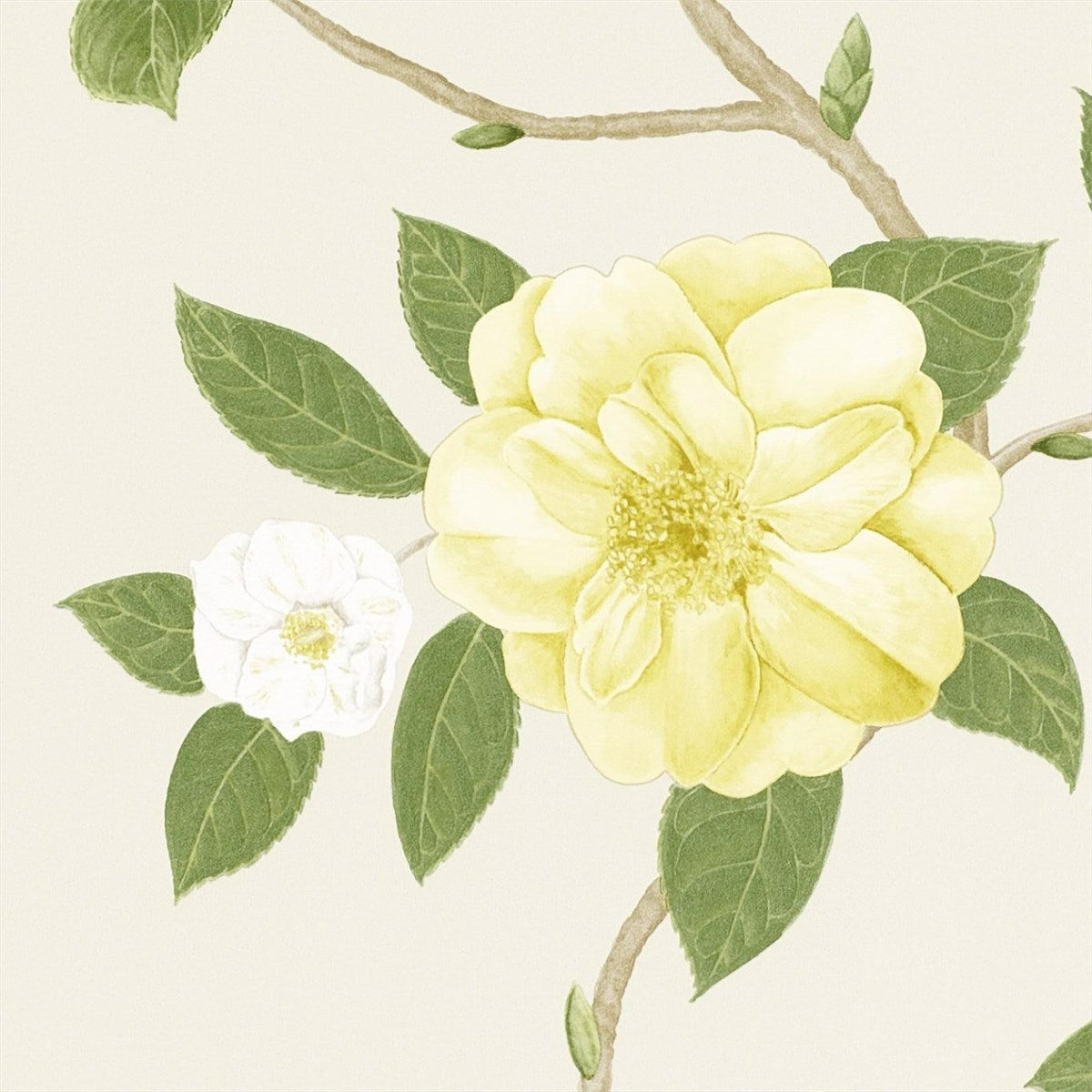 Sanderson - Tapete Christabel-Tapeten-Sanderson-YELLOW/IVORY 213377-213377-Toju Interior