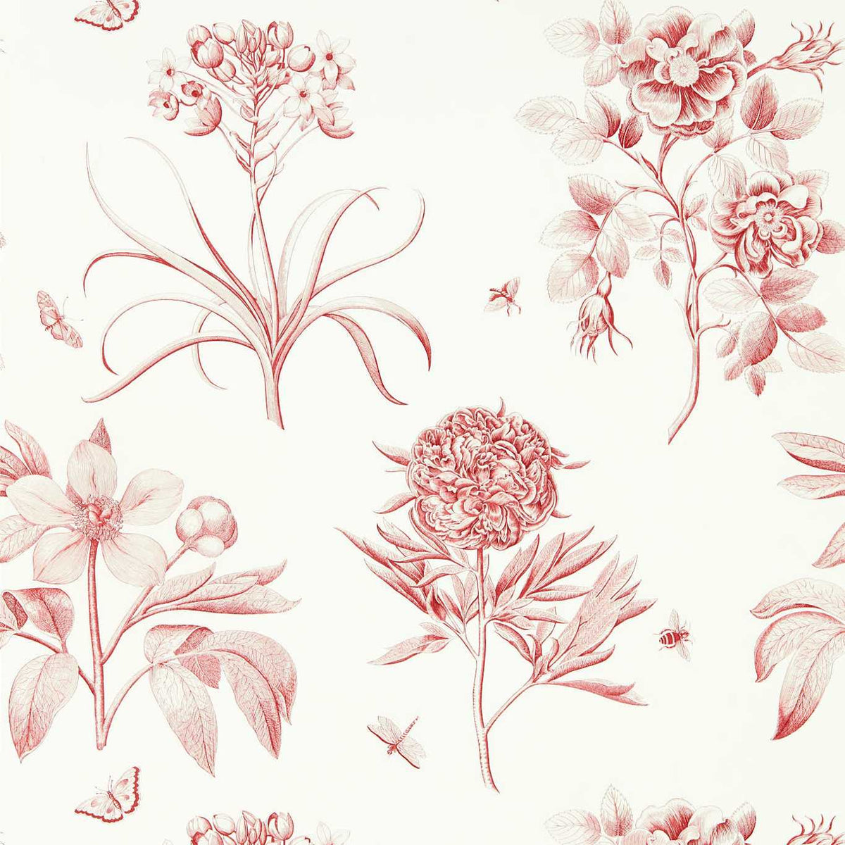 Sanderson - Tapete Etchings & Roses-Tapeten-Sanderson-AMANPURI RED 217054-217054-Toju Interior