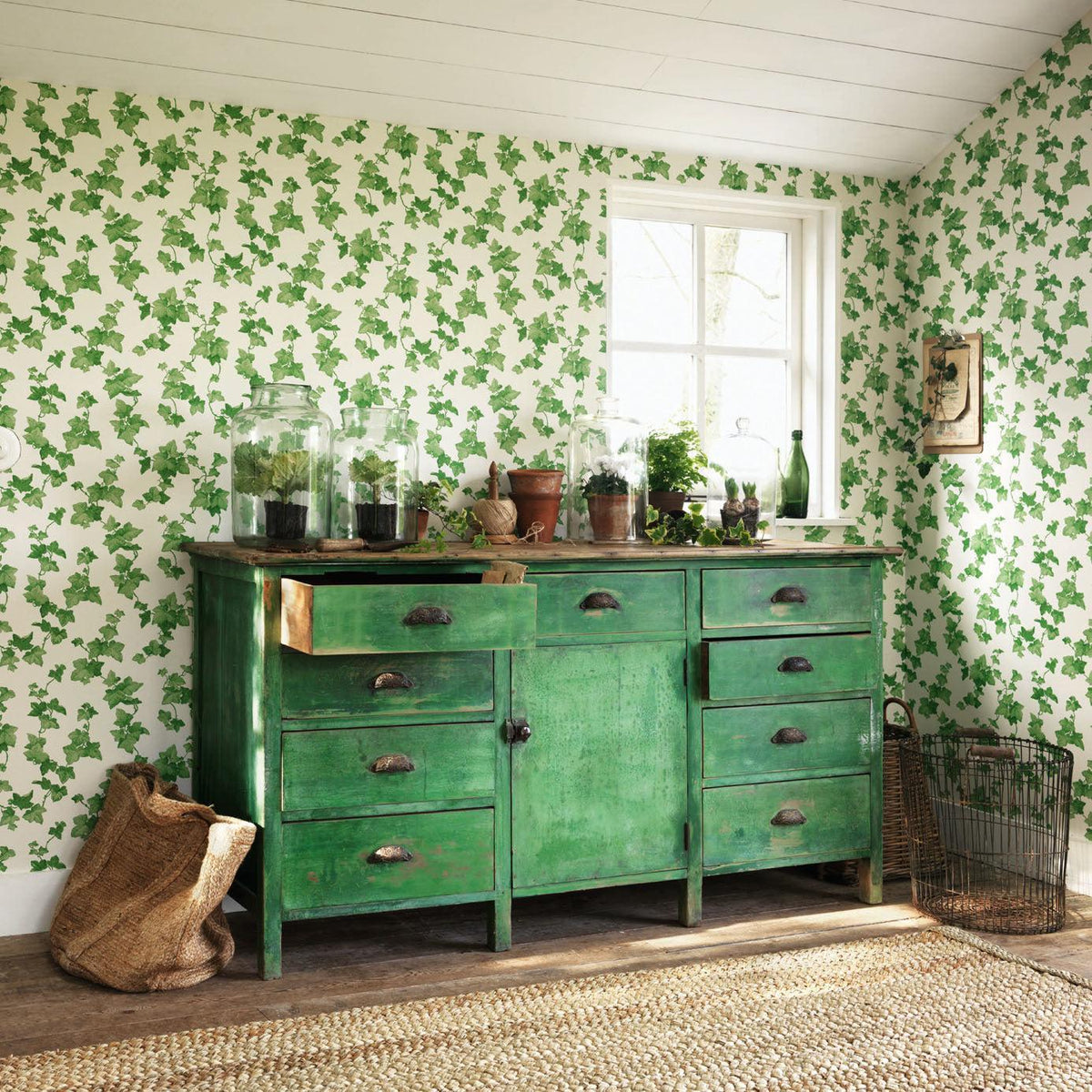 Sanderson - Tapete Hedera-Tapeten-Sanderson-DVIN214593-Toju Interior
