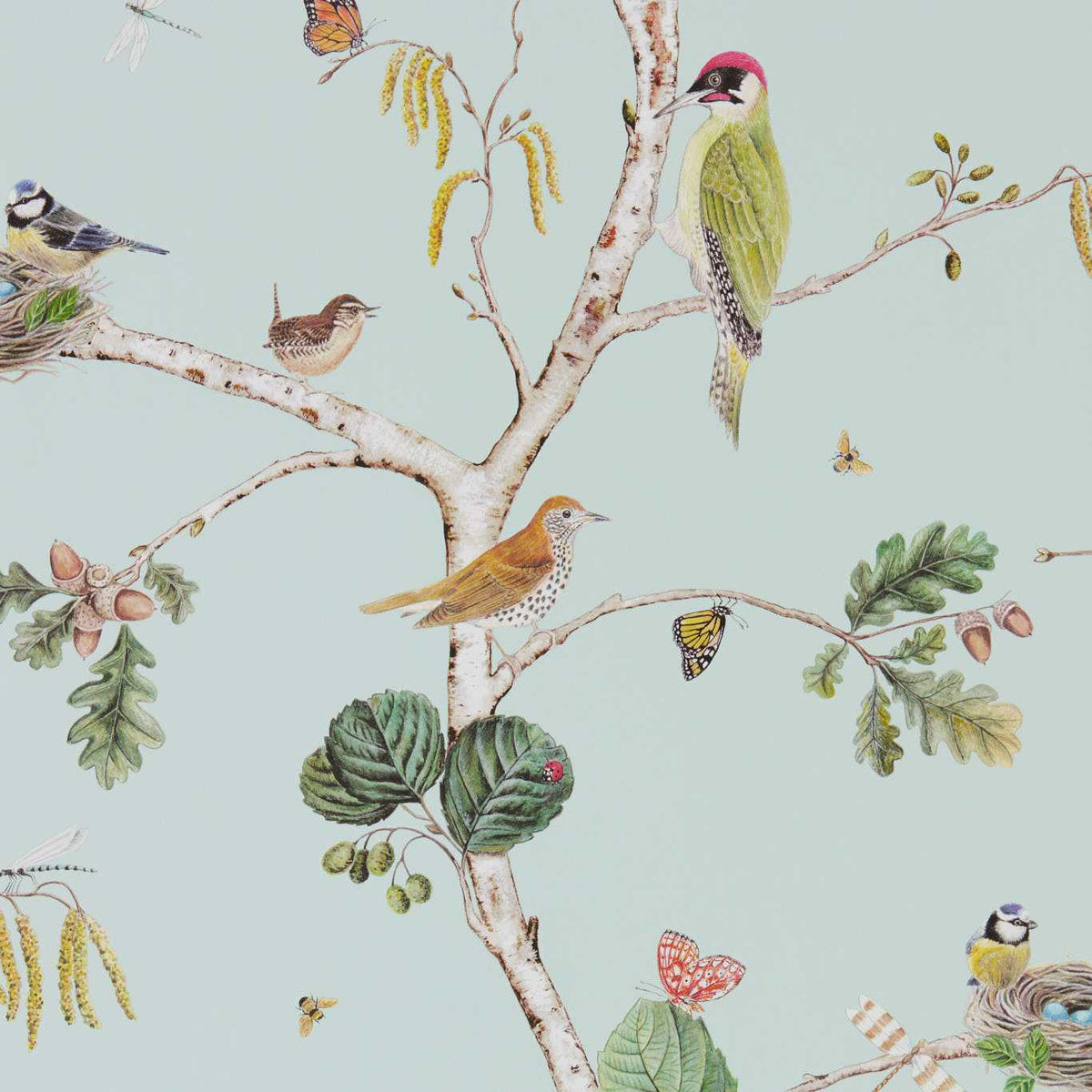 Sanderson - Tapete Woodland Chorus-Tapeten-Sanderson-SKY BLUE/MULTI 215706-DWOW215720-Toju Interior